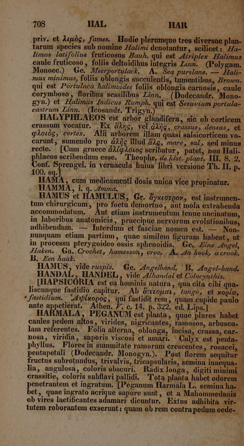 Os (HÀ --- OE. priv. et A«uóg, fames. Hodie plérumque tres diversae plan-- limus Jatifolius fruticosus Hau. qui est z4íriplex Ha imu caule fruticoso , foliis deltoidibus integris Zn. (Polygam. Tali Monoec.) Ge. Jeerportulack. | A.. Seg, purslane. -— ddalo- castrum Lin. - (eosandr, Trigyn, HALYPHLAEOS est arbor gland hlaeos scribendum esse. aA heophr, de Aist. plant, IL. 8. 9. Jonf. Sprengel. in vernacula huius libri versione 'T'h. IT, p. LUE D o al P bb aqu us de venue c suus HAMA , cuni medicamenti dosis unica vice propinatur. —'. e EV eae 1o aiubunaofin 2f EC BAMUS et HAMULUS, Gr. &amp;yxiozoov, est instrumen-- HAMUS, videczspis, Qe, Angelhand, B. Afngel-band, lam referentes. Folia alterna, oblonga, incisa, crassa, car- ^ 7 ij ob vires laetificantes adamari dicuntur. Extus adhibita vir- - tutem roborantem exserunt; quam ob rem contra pedum oede-