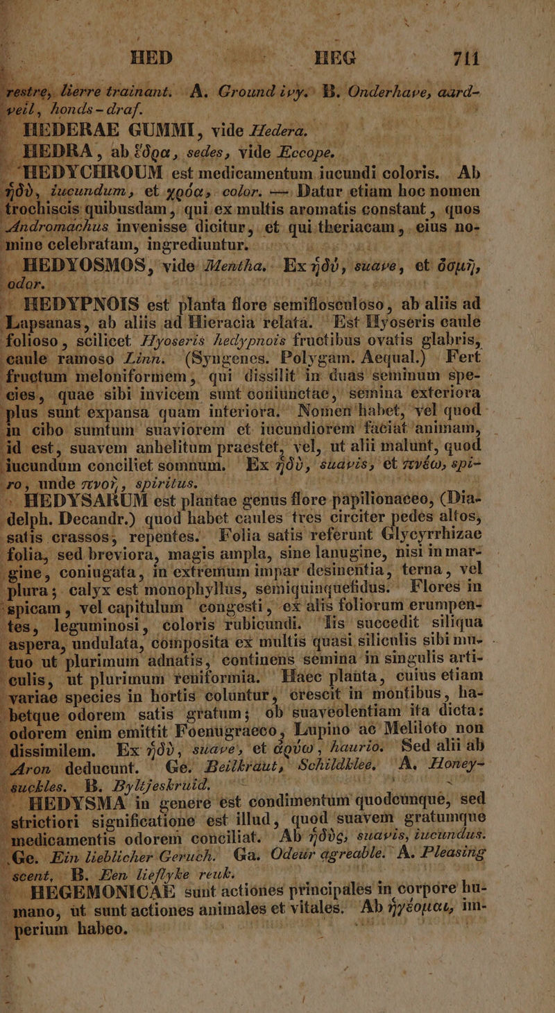 ^ ^4 b / Jr. 2i Tn ope;  e ? ? L. M ! v : 3 * au  2i x  EE. ] 4 : T À y : NN M v. Lv dq BED. JE nEG oc e. Verre trainant....A. Ground ivy.: B. Onderhave, aard- wel. » honds - draf. | Nah) jr .H iDERAE GUMMI, vide Hedera. T . HEDRA, ab £ópa, sedes, vide KEccope. |. ad ., HEDYCHROUM est medicamentum iucundi coloris. Ab , QU, Zucundum, et yoóq,. color. — Watur etiam hoc nomen trochiscis quibusdam ,' qui ex multis aromatis constant , quos Andromachus invenisse dicitur, et qui theriacam , . eius no- mine celebratam, ingrediuntur. |. 57 5 | HEDYOSMOS, vide: Mentha, . Ex 109, suave, et ÓOu), BO dico! cexdie etn aldea eat beh A HEDYPNOIS est planta flore semiflosculoso, ab aliis ad Lapsanas, ab aliis ad Hieracia relatà. ^ Est Hyoseris caule folioso , scilicet 77yoseris Aedypnois fructibus ovatis glabris, caule ramoso Zinn. (Syngenes. Polygam. Aequal) | Fert fruotum meloniformem , qui dissilit in duas seminum spe- - edes, quae sibi invicem sunt coriunctae,' semina exteriora plus sunt expansa quam interiora. Nomen habet, vel quod. pn €ibo sumtuin suaviorem et iucundiorem faeiat animam, 4d est, suavem anhelitum praestet, vel, ut alii malunt, quod jucundum conciliet somnum. ' Ex 70), suavis, et7:véo, spi- ro, unde ztvo5, spiritus. ^ AIEP AC PUR e MSM ^ HEDYSARUM est plantae genus flore papilionaeeo, (Dia- .delph. Decandr.) quod habet caules tres circiter pedes altos, salis erassos, repentes. Folia satis referunt Glycyrrhizae folia, sed breviora, magis ampla, sine lanugine, nisi in mar- .gine, coniugata, in extremum impar desinentia, terna, vel plura ;. calyx est monophyllus, semiquinquefidus. Flores in 'spicam , vel capitulum ' congesti , ex alis foliorum erumpen- tes, leguminosi, coloris rubicundi. lis suecedit siliqua aspera, undulata, composita ex multis quasi siliculis sibi mu. uo ut plurimum adnatis, continens semina in singulis arti- eulis, ut plurimum reniformia. Haec plaüta, cuius etiam ariae species in hortis coluntur, orescit in montibus, ha- betque odorem satis gratum; ob suaveolentiam ifa dicta: odorem enim emittit Foenugraeco, Lupino ae Meliloto non . dissimilem. Ex 50), suave, et doUc , haurio. Sed alii ab Zron deducunt. Ge. Beilbraut, Sehudklee. A, Honey-. uckles. Y&amp;. Bylyesbruid. ^ - P — HEDYSMA in genere est condimentum quodcunque, sed strietiori significatione est illud, quod suavem gratumque medicamentis odorem conciliat. Ab 7006, suavis, iucundus. .Ge. Ein lieblicher Geruch. Ga. Odeur agreable.  A. Pleasing E: dr í cent, B. Een lieflyke reuk. ^ -HEGEMONICAE aunt actiones principales in corpore hu- mano, ut sunt actiones animales et vitales. Ab 5jyéopoun, im- perium habeo. | NS AH ?