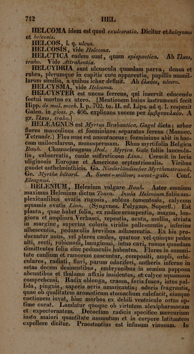 Hr cob. AED 3 y Rs HELCOMA idem est quod exulceratio. Dicitur etZeZcys, Ul DOPOMAED IC META 2 ARAS e d ERES  HELCOS, i. q. ulcus.  ori HELCOSIS, vide Ze/coma. HELCYDRIA s Hy e. HELCYSTER est uncus. ferreus, qui inservit. . educendo Tu TT TI dimittentes folia sine pedunculis habentes. . tate caulium et ramorum nascuntur, . compositi, ampli, orbi- . culares, radiati, flavi, parum odoriferi, antheris inferne in - setas decem desinentibus, embryonibus:in semina papposa | abeuntibus et thalamo afüxis insidentes, .et calyce squamoso comprehensi, Radix oblonga, crassa, foris fusca; intus pal- | lida, pinguis, saporis acris. amaricantis; .odoris fragrantis, quae ob qualitatem aromaticam stomachum calefacit, eiusque - coctionem iuyat, hinc morbos ex debili ventriculo ortos op- | time curat. Laudatur quoque ob virtutem. alexipharmacam. et expectorantem, —Decoctum radicis specifice mercurium jusfo maiori quantitate assumtum et in corpore latitantem expellere dicitur. Praestantius est infusum vinosum. 1n , N