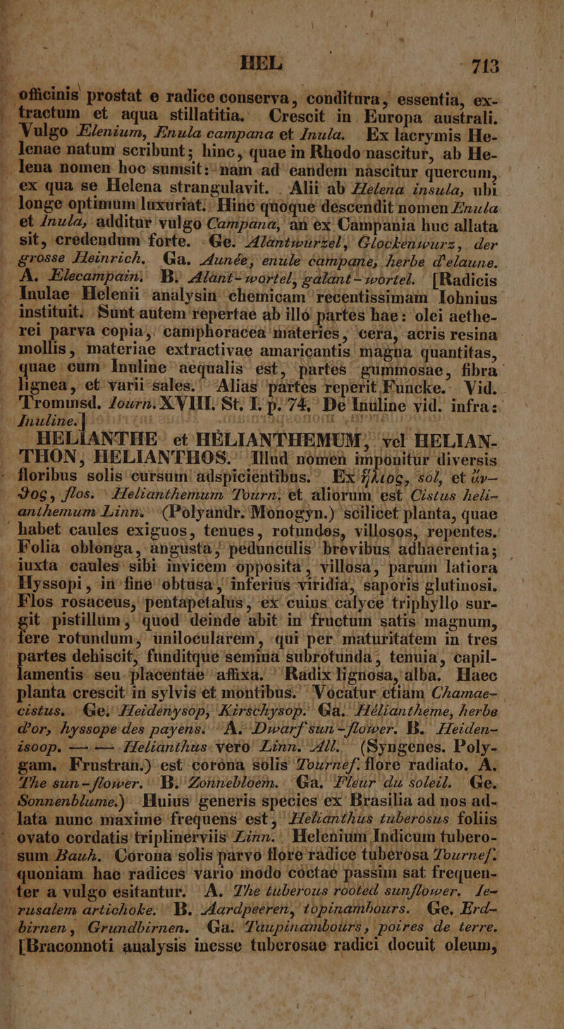 Vulgo Elenium, Enula campana et Inula. Ex lacrymis He- lenae natum scribunt; hinc, quae in Rhodo nascitur, ab He- et /nz/a, additur vulgo Campana, an ex Campania huc allata sit, credendum forte. Ge. AJanteurzel, Glockénwurz,. der A. .Elecampain, B. Alànt- wartel, galant - :wortel. [Radicis Inulae Helenii analysin eliémicam recentissimam Iohnius mollis, materiae extractivae amaricantis magna. quantitas, quae. cum lnulme aequalis ést, partes gummosae, fibra Trommsd. Zouzn. XV IIT. St, T. p. 74, De Inline vid. infra: HELIANTHE: et HELIANTHEMUM; él HELIAN- Hyssopi, in fine obtusa, inferius viridia, saporis glutinosi, fere rotundum, uniloeularem, «qui per maturitatem in tres i