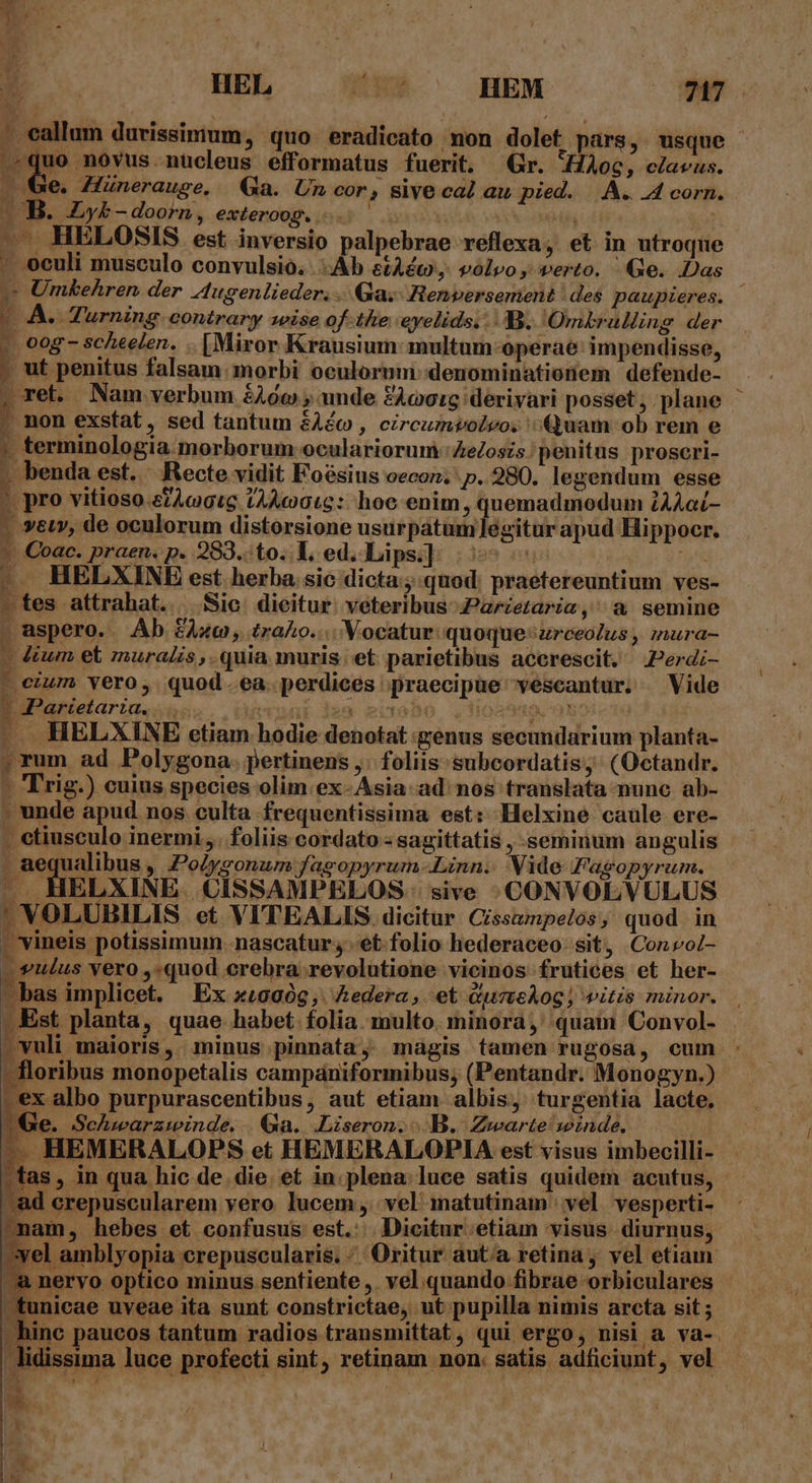 A p ^. ivt : vi HEL | ^'* |^ HEM (7 - eallum durissimum, quo eradicato mon dolet pars, usque .^quo novus.nucleus efformatus fuerit, Gr. Aoc, clavus. — Ge. Hünerauge, Ga. Un cor, sive cal au pied. |. À.. .4 corn. B. ALyb - doorn , exteroop, . TT | M^ HELOSIS est inversio palpebrae reflexa; et in utroque - oculi musculo convulsio. Ab etAéc, volvo, verto. Ge. Das » Umkehren der Augenlieder, ... Qa; Henversement des paupieres. 2 A. Turning. contrary wise of the eyelids... 8. Omkrulling der » oog - scheelen. .. [Miror Krausium:multam-operae: impendisse, I ut penitus falsam. morbi oculorum denominationem defende- , ret. Nam verbum £Aw , unde £Acoctg derivari posset , plane - non exstat, sed tantum éAéc , circumvolvo. Quam ob rem e » terminologia morborum oculariorurà:ZeZosis penitus proscri- .. benda est. ' Recte vidit Foésius oecon. p. 280. legendum esse ^ pro vitioso.ctAcgtg tAAcG0tc: hoc enim, quemadmodum ZAAaic- | veu, de oculorum distorsione usurpatum ]egitur apud Hippocr.  . Coac. praen. p. 289.:to. l, ed. Lips] |^ -. HELXINE est herba. sic dicta:;:quod: praetereuntium ves- - tes attrahat... Sic dieitur. veteribus Parierariz,' a semine . aspero. Ab. £z , trao... Vocatur: quoque zrceolus , zura- vum et muralis,.quia muris. et parietibus acerescit. .Perdi- - eium vero, quod. ea. perdices praecipüe'vescantur, ^ Vide - Parietaria, - Deuab dao evcrobo ,105959, 95 |. HELXINE etiam hodie denotat genus secundarium planta- ; rum ad Polygona. pertinens ,; foliis: subcordatis, (Octandr. - Trig.) cuius species olim. ex-Asia ad' nos translata nunc ab- - unde apud nos culta frequentissima est: Helxine caule ere- . etiusculo inermi , . foliis cordato - sagittatis , seminum angulis . aequalibus , Po/ygonum fagopyrum-Linn.. Vide Fagopyrum. ». HELXINE. CISSAMPELOS: sive .CONVOLVULUS ' VOLUBILIS et VITEALIS. dicitur Cissampelos, quod in . vineis potissimum nascatur et-folio hederaceo- sit, Conrol- euius vero ,«quod crebra revolutione vicinos frutices et her- bas implicet. Ex x£0a0g, Aedera, et dureAog) vitis minor. .Est planta, quae habet. folia. multo. minora, quam Convol- -vuli maioris, minus pinnata, mágis tamen rugosa, cum floribus monopetalis campaniformibus; (Pentandr. Monogyn.) ex albo purpurascentibus, aut etiam albis, turgentia lacte. Ge. Schiwarzwinde. |. Ga. .Liseron; B. Zwarte winde. i —. HEMERALOPS et HEMERALOPIA est visus imbecilli- tas, in qua hic de die. et in. plena luce satis quidem acutus, -ad erepuscularem vero lucem vel matutinam vel vesperti- nam, hebes et confusus est.: Dicitur.etiam visus diurnus, vel amblyopia crepuscularis. / Oritur aut/a retina, vel etiam. | neryo aiino minus sentiente ,. vel quando fibrae orbiculares unicae uveae ita sunt constrictae, ut pupilla nimis arcta sit ; - hinc paucos tantum radios transmittat, qui ergo, nisi a va-.— -lidissima luce profecti sint, retinam non. satis adficiunt, vel -