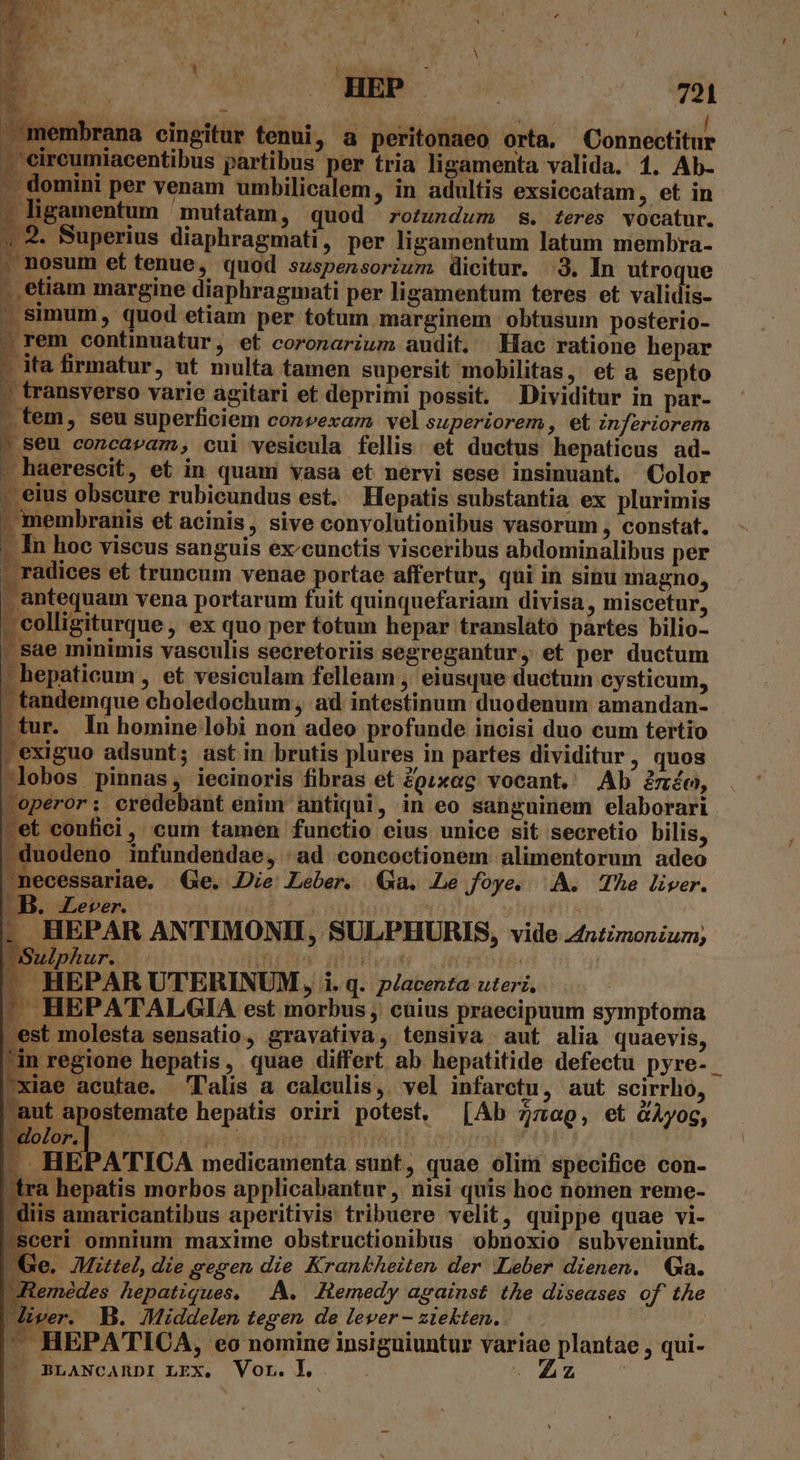 membrana cingitur tenui, a peritonaeo orta. Connectitur . Gireumiacentibus partibus per tria ligamenta valida. 1. Ab- - domini per venam umbilicalem, in adultis exsiecatam, et in - ligamentum mutatam, quod rotznduz $8. £eres vocatur. , 2. Buperius diaphragmati, per ligamentum latum membra- . nosum et tenue, quod suspensorium dicitur. :3. In utroque . etiam margine diaphragmati per ligamentum teres et validis- . simum, quod etiam per totum marginem obtusum posterio- » rem continuatur, et coronarium audit. Hac ratione hepar - ita firmatur, ut multa tamen supersit mobilitas, et a septo H transverso varie agitari et deprimi possit. Dividitur in par- | tem, seu superficiem convexam vel superiorem, et inferiorem - seu concavam, cui vesicula fellis et ductus hepaticus ad- haerescit, et in quam vasa et nervi sese insinuant. Color — eius obscure rubicundus est. Hepatis substantia ex plurimis J membranis et acinis, sive convolutionibus vasorum , constat. - In hoc viscus sanguis ex-cunctis visceribus abdominalibus per - radices et truncum venae portae affertur, qui in sinu magno, - antequam vena portarum fuit quinquefariam divisa, miscetur, - colligiturque ; ex quo per fotum hepar translato partes bilio- - sae minimis vasculis secretoriis segregantur, et per ductum - hepaticum , et vesiculam felleam , eiusque ductum cysticum, - tandemque choledochum, ad intestinum duodenum amandan- -tur. In homine lobi non adeo profunde incisi duo cum tertio exiguo adsunt; ast in brutis plures in partes dividitur , quos lobos pinnas, iecinoris fibras et £gixog vocant. Ab £m, -operor: credebant enim antiqui, in eo sanguinem elaborari Let confici, cum tamen functio eius unice sit secretio bilis, duodeno infundendae, «ad concoctionem alimentorum adeo necessariae. Ge. JDie Leber. Ga. Le foye, A. Te liver. . B. Lever. 15 HH IB 1 HEPAR ANTIMONII, SULPHURIS, vide 4nzimonium, — HEPAR UTERINUM » 1.q. placenta uteri. - HEPATALGIA est morbus , cuius praecipuum symptoma est molesta sensatio, gravativa, tensiva aut alia quaevis, ?in regione hepatis, quae differt ab hepatitide defectu pyre- - 'xiae acutae. Talis a caleulis,. vel infarctu, aut scirrho, s 0M hepatis oriri potest, [Ab 77:09, et &Àyog, dolor.| KU | HE | | -. HEPATICA medicamenta sunt, quae olini specifice con- tra hepatis morbos applicabantur , nisi quis hoc nomen reme- diis amaricantibus aperitivis tribuere velit, quippe quae vi- sceri omnium maxime obstructionibus obnoxio subveniunt. Ge. Mittel, die gegen die Krankheiten. der Leber dienen. Ga. URemédes hepatiques. |.AÀ. . Remedy against the diseases of the iver. B. 7Middelen tegen de lever - ztekten. . | : — HEPATICA, eo nomine insiguiuntur variae plantae , qui- — BLANCARDI LEX, Vor. Lh Ey IT^ | j E re up.