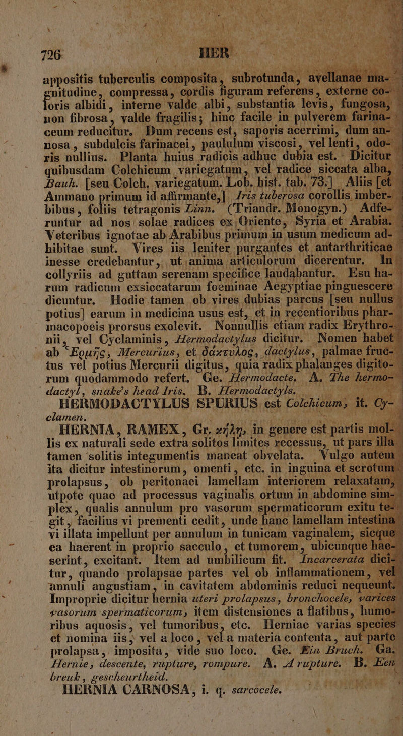 726 appositis tubereulis composita, subrotunda, avellan: nitudine, compressa, cordis figuram referens, extern jocis albidi, wow s albi, substantia levis, fungo non fibrosa, valde fragilis; hinc facile in pulverem fari E LJ ceum reducitur, Dum recens est, saporis acerrimi, dum * / )um recer | an- nosa, subdulcis farinacei, paululum viscosi, vellenti, odo- . ris nullius. Planta huius radicis adhuc dubia est. - Dicitur - quibusdam Colehieum | variegatum, vel radice siccata alba, Bauh. [seu.Colch, variegatum. Lob. hist. tab. 73.] | Aliis [et Ammano primum id afürmante,]. 7rzs tuberosa corollis imber- j bibus, folis tetragonis Zinn. ('Triandr. Monogyn.) Adfe- runtur ad nos solae radices ex Oriente, Syria et: Arabia. | Veteribus ignotae ab Arabibus primum in usum medicum ad- - hibitae sunt. Vires iis leniter purgantes et antarthriticae - inesse credebantur, ut.anima articulorum dicerentur. n. collyriis ad guttam serenam specifice laudabantur. Esu ha- rum radicum exsiecatarum foeminae Aegyptiae pinguescere . dicuntur. odie tamen ob vires dubias parcus [seu nullus - potius] earum in medicina usus est, et in recentioribus pliar- inacopoeis prorsus exolevit. Nonnullis etiam radix Erythro--- ni, vel Cyclaminis , ZZermodactylus dieitur... Nomen habet - ab Eourc, Mercurius, et ÓcxvvAog, dactylus,. palmae fruc- 1 tus vel potius Mercurii digitus, quia radix phalanges digito- ' t 4 rum quodammodo refert. Ge. -Hermodacte. A. The herr ^» | dactyl, snakes head Iris. B. Hermodaetyls. | 0. HERMODACTYLUS SPURIUS est Colchicum; it. Cy- . clamen. : jM os e cal A RM. CARN E HERNIA, RAMEX , Gr. z/Ar, in genere est partis mol- lis ex naturali sede extra solitos limites recessus, ut pars illa tamen 'solitis integumentis maneat obvelata. Vulgo auter ita dicitur intestinorum, omenti, etc. in inguina et scrot lapsus. ob peritonaei lamellam interiorem relaxatam, ) HOY S nd utpote quae ad processus vaginalis ortum in abdomine sim- - plex, qualis annulum pro vasorum spermaticorum exitu te-- git , facilius vi prementi cedit, unde hanc lamellam intestina. vi illata impellunt per annulum in tunicam vaginalem, siequ e ea haerent in proprio saeculo, et tumorem , ubicunque hae- - serint, excitant. ltem ad umbilicum fit. Jncarcerata dici-- tur, quando prolapsae partes vel ob inflammationem, vel annuli angustiam , in cavitatem abdominis reduci nequeunt; Improprie dicitur hernia zzerz prolapsus, bronchocele, varices gasorum spermaticorum item distensiones a flatibus, humo- ribus aquosis, vel tumoribus, etc. lierniae varias species et nomina iis, vel a loco, vela materia contenta , au parte | prolapsa, imposita, vide suo loco. Ge. Ej» Bruch. Ga.- Hernie, descente, rupture, rompure. A. A rupture. B. Een breukb , eescheurtheid. ^ e HERNIA CARNOSA, i. q. sarcocele. Ua L^ nau ys L