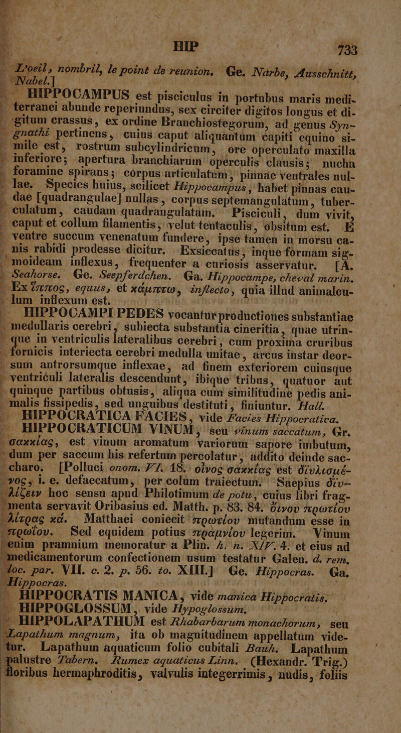 r a nombril, le point de reunion, Ge. Narbe, Ausschnitt, — Nabel. |  - AU. Lo HIPPOCAMPUS est pisciculus in portubus maris medi- ». terranei abunde reperiundus, sex circiter digitos longus et di- | gitum crassus, ex ordine Branchiostegorum, ad genus Syn- |» gnatA; pertinens, cuius caput aliquantum capiti equino si-  mile est, rostrum subcylindricum, | ore operculato maxilla | inferiore; «apertura. branchiaruin operculis clausis; nucha » foramine spirans; corpus articulatum piinae ventrales nul- » lae. Species huius, seilicet Hippocampus , habet pinnas cau- - dae [quadrangulae] nullas ,' corpus septemangulatum, tuber- - eulatum, caudam quadrangulatam. ^ Pisciculi, dum vivit, - caput et collum filamentis ,' velut tentaculis , obsitum est, E ' ventre succum venenatum fundere; ipse tamen in morsu ca- . mis rabidi prodesse. dicitur. Exsiecatus; inque formam sig- ' moideam inflexus, frequenter a curiosis asservatur. [À. » Seahorse, Ge. Seepferdchen. Ga. Hippocampe, cheval marin. | Ex treo, equus, et xdumvo, znffecto, quia illud animalcu- ».]um inflexum est. | i6 en na Pix: . HIPPOCAMPI PEDES vocantur productiones substantiae - medullaris cerebri , subiecta substantia cineritia , quae utrin- NU in ventriculis lateralibus cerebri, cum proxima cruribus | - fornicis interiecta cerebri medulla unitae, arcus instar deor- . sum antrorsumque inflexae, ad finem exteriorem cuiusque - ventriéuli lateralis descendunt, ibique tribus, quatuor aut quinque partibus obtusis; aliqua cum similitudine pedis ani- | . malis fissipedis, sed unguibus destituti, finiuntur. Ha. . HIPPOCRATICA FACIES, vide Facies Hippocratica. — HIPPOCRATICUM VINUM; seu vinum saccatum, Gr. »gaxxiícg, est vinum aromatum: variorum sapore imbutum, ' dum per saceum his refertum percolatur , addito deinde sac-- charo. [Polluci oom. 77.18. oivog o&amp;xxloc est OtvALOué- /»06c, i.e. defaecatum, per colum traiectum; Saepius Orv— Ai&amp;ew hoc sensu apud Philotimum de pou , euius libri frag- Boesta servavit Oribasius ed. Matth. p. 83. 84. üivov zgcziov | Aízoag xd. Matthaei coniecit mpottov niütandum esse in »noutov. Sed equidem potius zroagytov legerim. Vinum enim. pramnium memoratur a Plin. 4. n. X/F. 4. et eius ad medicamentorum confectionem usum: testatür Galen. d. ren, | Joc. par. Vll. c. 2. p. 56. zo. XIIL] Ge. Hippocras. Ga. Hzppocras. ij ei tb EUR, ipi PR quo — HIPPOCRATIS MANICA, vide manzcá Hippocratis. - HIPPOGLOSSUM, vide Hwposlossum. ^'^ ev | e. HIPPOLAPA'THUM est ZAabarbarum monachorum, seu - xLapathum magnum, ita ob magnitudinem appellatum vide- tur. Lapathum aquaticum folio cubitali Zauz. Lapathum Jpalustre Zabern. Jumex aquaticus Linn, | (Hexandr. Trig.) floribus hermaphroditis, valvulis integerrimis ,' nudis, foliis