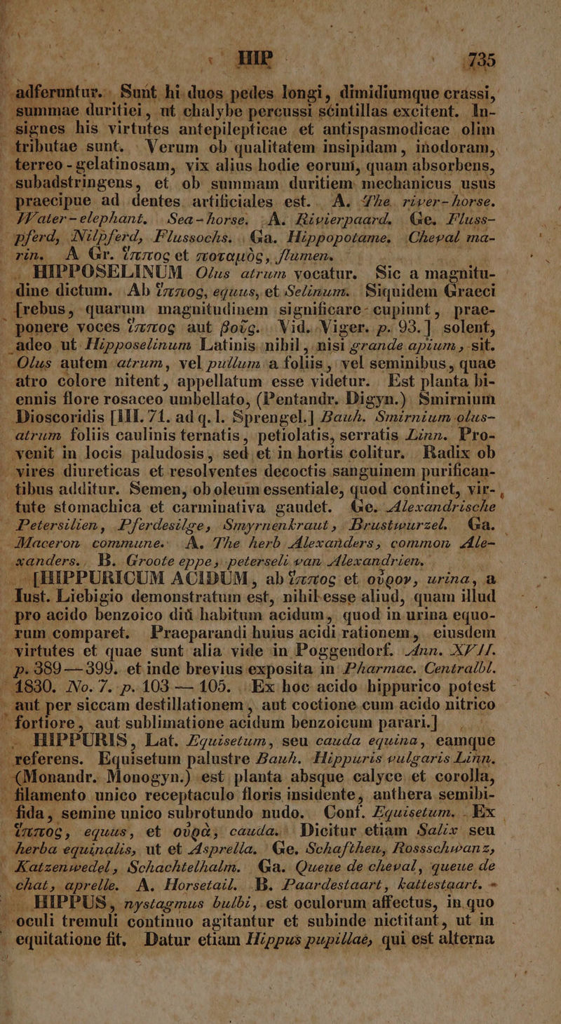 dferuntur.. Sunt hi.duos pedes longi, dimidiumque crassi, summae duritiei, nt chalybe percussi scintillas excitent. ln- . signes his virtutes antepilepticae et antispasmodicae olim . tributae sunt. . Verum ob qualitatem insipidam , inodoram,. terreo - gelatinosam, vix alius hodie eoruni, quam absorbens, ..Subadstringens, et ob summam duritiem: mechanicus usus praecipue ad. dentes. artificiales. est. | A. e. river- horse. . ZV'ater - elephant. |..:Sea- horse. A. Rivierpaard. Qe. Fluss- » pferd, A:Nilpferd, FPlussochs. |. Ga. Hippopotame. |.Chepal ma- rin. A Gr. Vrumoc et mozouóc, flumen, ^. e ». HIPPOSELINUM .O/us atrum vocatur. Sic a magnitu- . dine dictum. |. Ab zrziog, equus, et Selinum. Siquidem Graeci [rebus, quarum magnitudinem ;significare- cupiunt, prae- ' ponere voces ?z7tog aut fog. Vid. Viger. p. 93.]. solent, adeo ut Hipposelinum Latinis nihil ,. nisi grande apzum , sit. . Olus autem atrum, vel pullum. a foliis , vel seminibus, quae - atro colore nitent, appellatum esse videtur. Est planta bi- ennis flore rosaceo umbellato, (Pentandr. Digyn.) 55smirnium - Dioscoridis [III 71. ad q.l. Sprengel.] Bauh. Smirnium otus- . atrum foliis caulinis ternatis, petiolatis, serratis nn. Pro- venit in locis paludosis , sed et in hortis colitur. Badix ob - vires diureticas et resolventes decoctis sanguinem purifican- tibus additur. Semen, ob oleum essentiale, quod continet, vir- , «tute stomachica et carminativa gaudet. €xe. J4Zexandrische — Petersilien, .Pferdesilge, Smyrnenkraut ,..Brustwurzel, €&amp;a..— JMMaceron commune. A. The herb Alexanders, common 2ie- x«anders., D. Groote eppe , peterseli van. Alexandrien, | | . IHIPPURICUM ACIDUM, ab zog et 0000», urina, 4 Iust. Liebigio demonstratum est, nihilesse aliud, quam illud pro acido benzoico diü habitum acidum, quod in urina equo- rum comparet. Praeparandi huius acidi rationem, | eiusdem M virtutes et quae sunt alia vide in Poggendorf. J4nn. .X7//. p. 389 — 399. et inde brevius exposita in: PAarmac. Centralbl. -.4830. JVo. 7. p. 103 — 105. . Ex hoc acido hippurico potest - aut per siccam destillationem j. aut coctione cum acido nitrico - - fortiore, aut sublimatione acidum benzoicum parari.] . HIPPURIS, Lat. £quisetum, seu cauda equina, eamque referens. Equisetum palustre ZauA. Hippuris vulgaris Linn. «Monandr. Monogyn.) est planta absque calyce et corolla, . filamento unico receptaculo floris insidente, anthera semibi- fida, semine unico subrotundo nudo. Conf. Ziguzsetum. . Ex | » Vmzoc, equas, et o)9à, cauda. Dicitur etiam SaZix seu herba equinalis, ut et Asprella. Ge. Schaftheu, Rossschwanz, - Katzenwedel, Schachtelhalm. | Ga. Queue de cheval, queue de chat, aprelle. A. Horsetail. .B. Paardestaart, kattestaart. ^ —— HIPPUS, nystagmus bulbi, est oculorum affectus, in.quo --oculi tremuli continuo agitantur et subinde nictitant, ut in . equitatione fit, Datur etiam Hzppus pupil/aé, qui est alterna jul