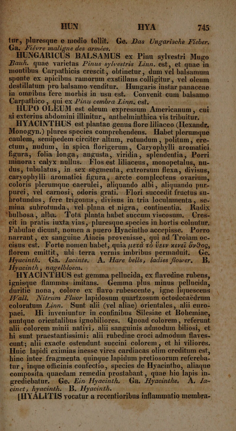 . tur, pluresque e medio tollit. Ge. Das Ungarische Fieber. ( Qa. Fiévre maligne des armées. VL UEM Ux bow ^ HUNGARICUS BALSAMUS ex Pinu sylvestri Mugo .Bau. quaé varietas Pinus sylvestris Linn, est, et. quae in montibus Carpathicis crescit, obtinetur, dum vel balsamum sponte ex apicibus ramorum exstillans colligitur, vel oleum. . destillatum pro balsamo venditur. Hungaris instar panaceae. A jin omnibus fere morbis in usu est. . Convenit. cum balsamo: —. Carpathico ,. qui ex Pznz cembra Linn. est. |. vel Cs rin . HUPO OLEUM est oleum expressum. Americanum ,: cui si exterius abdomini illinitur ,. anthelminthica vis tribuitur. - HYACINTHUS est plantae genus flore liliaceo (Hexandr.. Monogyn.) plures species comprehendens. Habet plerumque caulem, semipedem circiter altum, rotundum , politum, ere- ctum, nudum, in spica florigerum, Caryophylli aromatiei. figura,: folia. longa, angusta, viridia, splendentia, Porri minora: calyx nullus. . Flos est liliaceus, monopetalus, nu- dus, tubulatus, in. sex segmenta, extrorsum flexa, divisus, . earyophylli. aromatici figura ,: arcte. complectens ovarium, - coloris plerumque :caerulei, aliquando albi, aliquando pur- purei, vel carnosi, odoris grati... Flori succedit fructus su- . hrotundus , fere trigonus; divisus in tria loculamenta ,. se-- mina subrotunda,. vel plana et nigra, continentia. . Radix bulbosa, alba.. 'lota planta habet succum viscosum. | Cres- '' eit in pratis iuxta vias pluresque species in hortis coluntur. Fabulae dicunt, nomen a puero Hyacintho accepisse. Porro ».marrant, ex sanguine Aiaeis provenisse, qui ad 'T'roiam oc- ., eisus est. Forte nomen habet; quia uezà vó Usu xwwet àv9og, - florem emittit, ubi terra vernis imbribus permaduit. Ge. Hyacinth. | Ga. Jacinte,. . A, Hare bells, ladies flower, . B, . Hyacinth, nagelbloem. | ^. UT j | .« HYACINTHDUS est gemma pellucida, ex flavedine rubens, . ignisque flammas-imitans. Gemma plus minus pellucida, . duritie nona, colore ex flavo rubescente, igne liquescens . Vall, Nitrum Fluor lapidosum quartzosum octodecaédrum - . eoloratum Zinn. Bunt alii (vel aliae) orientales, alii euro- . paei Hi inveniuntur in confinibus Silesiae et. Bohemiae, . suntque orientalibus ignobiliores. Quoad colorem, referunt alii: colorem minii nativi, alii sanguinis admodum hiliosi, et. . hi sunt praestantissimi: alii rubedine óroci admodum flaves. | eunt; alii exaote ostendunt succini colorem , et hi viliores. '- Huic lapidi eximias inesse vires cardiacas olim ereditum est, — dhine inter fragmenta quinque lapidum pretiosorum refereba- tur , inque officinis confectio, species de Hyacintho, aliaque composita quaedam remedia prostabant, quae hie lapis in- grediebatur. |. Ge. Ein. Hyacinth, | 6a. Hyaointhe, |. A, la- einct, hyacinth. .B. Hyacinth. UARIIS vc [HYALATIS vocatur a recentioribus inflammatio membra- A