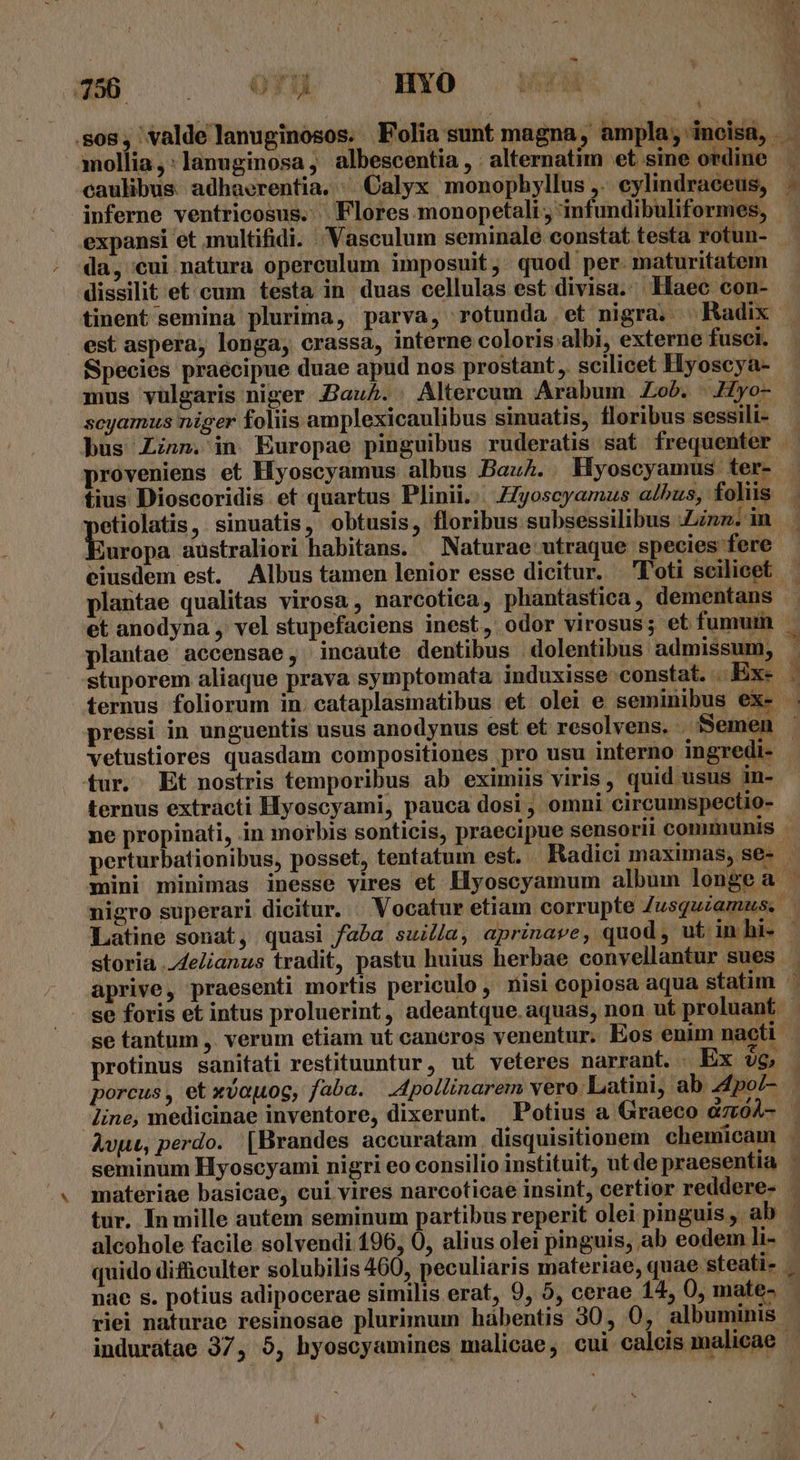 uo UH HYO mollia,:lanuginosa, albescentia , alternatim et sine ordine caulibus. adhaerentia. ^ Calyx monophyllus ,. cylindraceus, inferne ventricosus. Flores monopetali ; infundibuliformes, expansi et multifidi. Vasculum seminale constat testa rotun- da, cui natura operculum imposuit, quod per. maturitatem dissilit et cum testa in duas cellulas est divisa. Haec con- tinent semina plurima, parva, rotunda et nigra. Radix est aspera, longa, crassa, interne coloris.albi, externe fusci. Species praecipue duae apud nos prostant ,. scilicet Hyoscya- mus vulgaris niger Zauhb.. Altercum Arabum Zob. ..Hyo- scyamus niger foliis amplexicaulibus sinuatis, floribus sessili- ! y ^ proveniens et Hyoscyamus albus BauA.. Hyoscyamus ter- tius Dioscoridis et quartus Plinii. J/yoscyamzus a/bus, foliis | da , sinuatis, obtusis, floribus subsessilibus :Linn. in et anodyna , vel stupefaciens inest, odor virosus; et fumuin plantae accensae, incaute dentibus dolentibus admissum, stuporem aliaque prava symptomata induxisse constat. Ex. pressi in unguentis usus anodynus est et resolvens, S vetustiores quasdam compositiones pro usu 1 tur. Et nostris temporibus ab eximiis viris , quid usus 1n- ternus extracti Hyoscyami, pauca dosi, omni circumspectio- perturbationibus, posset, tentatum est. Hadici maximas, se- storia de/ianus tradit, pastu huius herbae convellantur sues aprive, praesenti mortis periculo , nisi copiosa aqua statim se foris et intus proluerint, adeantque.aquas, non ut proluant. protinus sanitati restituuntur, ut veteres narrant. Ex io porcus, et xvopog, faba. 4pollinarem vero Latini, ab 4po/- Avut, perdo. [Brandes accuratam. disquisitionem chemicam materiae basicae, cui vires narcoticae insint, certior reddere- tur. Inmille autem seminum partibus reperit olei pinguis , ab alcohole facile solvendi 196, Ó, alius olei pinguis, ab eodem li- nae s. potius adipocerae similis erat, 9, 5, cerae 14, 0, mate- b3