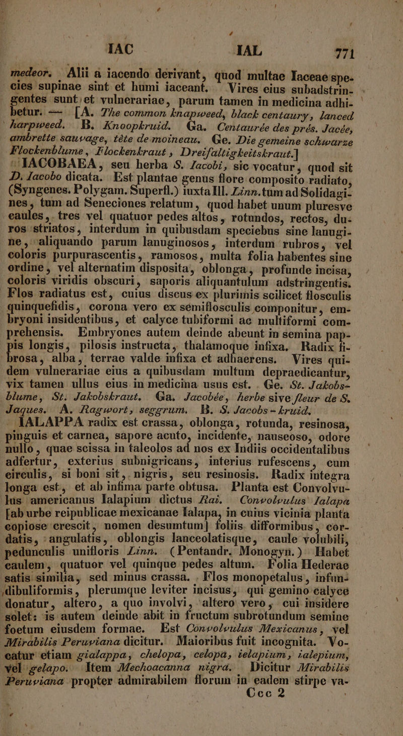 IAC IAL ÀMi medeor, Alii à iacendo derivant, quod multae laceae spe. cies supinae sint et humi iaceant. ^ Vires eius subadstrin- - gentes sunt;et vulnerariae, parum tamen in medicina adhi. - betur. — [A. 7Ze common knapsweed, black centaury, lanced harpweed. B. Knoophruid. Ga. Centaurde des prés. Jacde, ambrette sauvase, téte demoineau. (e. Die gerneine schwarze Flockenbiume ,' Flockenkraut , Dreifaltigkeitskraut.] ^ IACOBAEA, seu herba S. Zacob, sic vocatur , quod sit JD. Jacobo dicata. Est plantae genus flore composito radiato, (Syngenes. Polygam. Superfl.) iuxtalll. Zznn.tum ad Solidagi- nes, tum ad Seneciones relatum , quod habet unum pluresve eaules,.tres vel quatuor pedes altos, rotundos, rectos, du- ros striatos, interdum in quibusdam speciebus sine lanugi- ne, aliquando parum lanuginosos, interdum rubros, vel coloris purpurascentis, ramosos, multa folia habentes sine ordine, vel alternatim disposita, oblonga, profunde incisa, coloris viridis obscuri, saporis aliquantulum adstringentis. Flos radiatus est, cuius discus ex plurimis scilicet flosculis quinquefidis, corona vero ex semiflosculis componitur , em- bryoni insidentibus, et calyce tubiformi àc multiformi com- prehensis. Embryones autem deinde abeunt in semina pap- is longis, pilosis instructa, thalamoque infixa, Radix fi- rosa, alba, terrae valde infixa et adhaerens. Vires qui- dem vulnerariae eius a quibusdam multum depraedicantur, vix tamen ullus eius in medicina usus est. . Ge. Sv. Jabobs- blume, St. Jakobskraut, Ga. Jacobée, herbe sive fleur de S. Jaques. A. Ragwort, seggrum. | B. S. Jacobs - bruid. : - AALAPPA radix est crassa, oblonga, rotunda, resinosa, pinguis et carnea, sapore acuto, incidente, nauseoso, odore nullo, quae scissa in taleolos ad nos ex Indiis occidentalibus adfertur, exterius subnigricans, interius rufescens, eum eirculis, si boni sit, nigris, seu resinosis. Radix integra longa est, et ab infima parte obtusa. Planta est Convolvu- lus americanus lalapium dictus Zia. . Convolvulus Jalapa [ab urbe reipublicae mexicanae lalapa, in cuius vicinia planta eopiose crescit, nomen desumtum| oliis. difformibus , cor- datis, :angulatis, oblongis lanceolatisque, caule volubili, pedunculis unifloris Zinn. (Pentandr. Monogyn.): Habet eaulem, quatuor vel quinque pedes altum. Folia Hederae satis similia, sed minus crassa. . Flos monopetalus , infun- ,dibuliformis, plerumque leviter incisus, qui gemino calyce «donatur, altero, a quo involvi, altero vero ; cui insidere solet: is autem deinde abit in fructum subrotundum semine foetum eiusdem formae. Est Convoleulus Mexicanus, vel Mirabilis Perusiana dicitur. Maioribus fuit incognita. Vo- eatur etiam gia/appa, chelopa, celopa, ielapium , ;alepium, vel ;gelapo. Item Mechoacanna nigra. : Dicitur Mirabilis JPeruviana propter admirabilem florum a ovi stirpe va- | | cc I e