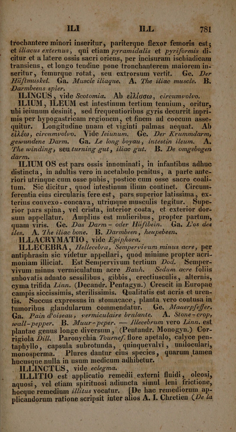 fM ato do ALI | NN 781 trochantere minori inseritur, pariterque flexor femoris est; et iliacus externus, qui etiam pyramidalis et pyriformis di- citur et a latere ossis sacri oriens, per incisuram ischiadicam transiens , et longo tendine pone tronchanterem maiorem in-- seritur, femurque rotat, seu extrorsum vertit. Ge. JDer 3Darmbeens spier. T JILINGUS, vide Scotomia. Ab eiA(G0c , circumvolro. ILIUM, ILEUM est intestinum tertium tenuium, oritur, ubi ieiunum desinit, sed frequentioribus gyris decurrit inpri- mis per hypogastricam regionem, et finem ad coecum asse- quitur. Longitudine nnam et viginti palmas aequat. Ab &amp;LÀASQ , circumvolpo. Vide Jeiunum., | Ge. Der Krummdarm, gewundene Darm. | Ga. Le long beyau, intestin ileum. .. A, The winding, seu£zurning gut, iliac gut. . B. De omgebogen darm. | | . ILIUM OS est pars ossis innominati, in infantibus adhuc distincta, in adultis vero in acetabulo penitus, a parte ante- . riori utrinque cum osse pubis, postice cum osse sacro coali- tum. Sic dicitur, quod intestinum ilium continet. Circum- ferentia eius circularis fere est, pars superior latissima, ex- terius conyexo- concava, utrimque musculis tegitur. | Supe- sum appellatur. Amplius est mulieribus, propter partum, quam viris. Ge. Das Darm - oder Hfibein. Ga. L'os des iles. A. The iliac bone. B. .«Darmbeen , heupebeen. n JALLACRYMATIO, vide Epiphora. j ILLECEBRA , Ze//ecebra, Sempervirum minus acre, per antiphrasin sic videtur appellari, quod minime propter acri- moniam illiciat. Est Sempervivum tertium Dod. , Semper- vivum: minus vermiculatum acre ZauAh. | Sedum. acre foliis subovatis adnato sessilibus, gibbis, erectiusculis, alternis, tis. Succus expressus in stomacace, planta vero contusa in tumoribus glandularum commendatur. | Ge. | Zauerpfeffer. Ga. Pain d'oiseau, vermiculaire brulante. |. A. Stone- crop, wall-pepper. B. JMMuur-peper. -— 4Hecebrum vero Linn. est plantae genus longe diversum , (Pentandr. Monogyn.) Cor- rigiola Di/. Paronychia 7ournef: flore apetalo, calyce pen- taphyllo, capsula subrotunda, | quinquevalvi , uniloculari, monosperma. Plures dantur eius species, quarum tamen hucusque.nulla in usum medicum adhibetur. basal il JALLINCTUS, vide ec/egma. .aquosi, vel etiam spirituosi adiuncta simul leni. frictione, hocque remedium zZZ£us vocatur. . [De hac remediorum ap- plicandorum ratione scripsit inter alios A. I. Chretien Ce la