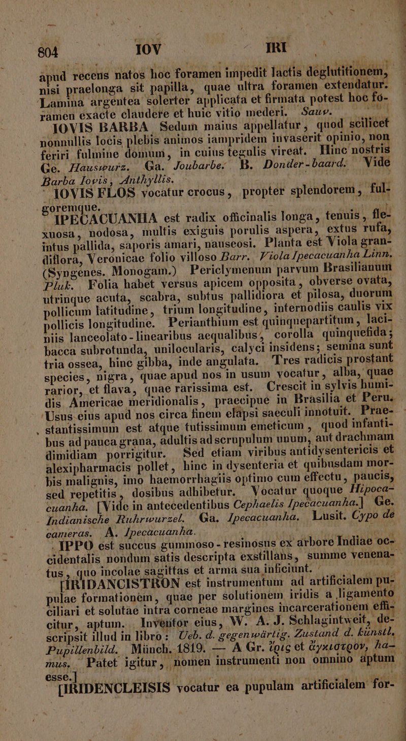 a— Lu ^ AS C N.- ^» nisi praelonga sit papilla, quae ultra foramen extendatur. Lamina argentea solerter applicata et firmata potest hoc fó- ramen exacte claudere et huic vitio mederi. Sau. Ars IOVIS BARBA | Sedum maius appellatur, quod scilicet nonnullis locis plebis animos iampridem invaserit opinio, non feriri fulmine domum, in cuius tegulis vireat. Hinc nostris Ge. Zausmurz. $a. Joubarbe.. B. Donder-baard. Vide Barba lovis, Anthyllis. — icis jd €—  JOVIS FLOS vocatur crocus, propter splendorem, ful- goremque. s IPECACUANHA est radix officinalis longa , tenuis , fle- xuosa, nodosa, multis exiguis porulis aspera, extus rufa, intus pallida, saporis amari, nauseosi. Planta est Viola gran- (Syngenes. Monogam.) Periclymenum parvum Brasilianum Piu. Folia habet versus apicem opposita , obverse ovata, utrinque acuta, scabra, subtus pallidiora et pilosa, duorum niis lanceolato-linearibus aequalibus, corolla quinquefida ; bacca subrotunda, unilocularis, calyci insidens; semina sunt tria ossea, hinc gibba, inde angulata. Ires radicis prostant species, nigra, quae apud nos in usum vocatur, alba, quae dis Americae meridionalis, praecipue in Brasilia et Peru. stantissimum est atque tutissimum emeticum , quod infanti- bus ad pauca grana, adultis ad scrupulum unum, aut drachmam dimidiam porrigitur. Sed etiam viribus antidysentericis et alexipharmacis pollet, hinc in dysenteria et quibusdam mor- his malignis, imo haemorrhagiis optimo cum effectu, paucis, sed repetitis, dosibus adhibetur. Vocatur quoque Hipoca- cuanha. [Vide in antecedentibus CepAaelis /pecacuanha.] Ge. Indianische Ruhrwurzel. Ga. lIpecacuanha, Lusit. Cypo de cameras. A. Jpecacuanha. hh bea d . IPPO est succus gummoso - resinosus ex arbore Indiae 0c- tus iul uo incolae sagittas et arma sua inficiunt. —J HRIDANCISTRON est instrumentum ad artificialem pu- pulae formationeim , quae per solutionem iridis à ligamento ciliari et solutàe intra corneae margines incarcerationem effi scripsit illud in libro: Ub. d. gegen würtig. Zustand d. künstl, mus, Patet igitur, nomen instrumenti non omnino aptum Bau vs