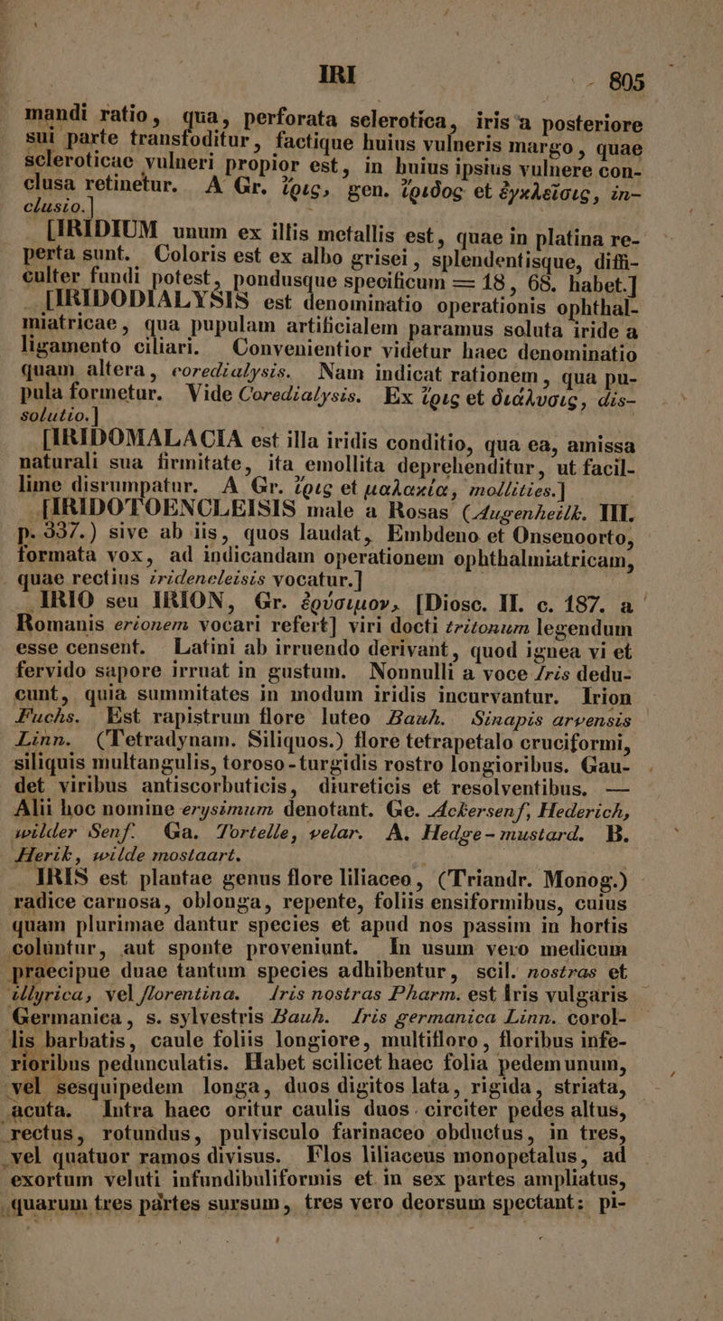 mandi ratio, qua, perforata selerotica, iris'a posteriore sui parte transfoditur, factique huius vulneris margo , quae scleroticae vulneri propior est, in buius ipsius vulnere con- clusa retinetur. .A Gr. (Qug, gen. (gidog: et yxAeiotc , in- clusio.] : [IRIDIUM unum ex illis metallis est, quae in platina re- perta sunt. Coloris est ex albo grisei , splendentisque, diffi €ulter fundi potest, pondusque specificum — 18 , 08. habet.] . HIRIDODIALYSIS est denominatio operationis ophthal- miatricae, qua pupulam artificialem paramus soluta iride a ligamento ciliari. — Convenientior videtur haec denominatio quam altera, coredialysis. Nam indicat rafionem , qua pu- pula formetur. Vide Coredialysis. Ex igtg et 0tGAvotc, dis- solutto.] [IRIDOMALA CIA est illa iridis conditio, qua ea, amissa naturali sua firmitate, ita emollita deprehenditur, ut facil- lime disrumpatur. A Gr. ?g«g et uaAoxta, mollities.] [IRIDOTOENCLEISIS male a Rosas (.4ugenAeilk. III. p. 337.) sive ab iis, quos laudat, Embdeno et Onsenoorto, formata vox, ad indicandam operationem ophthalimiatricam, uae rectius zrzdeneleisis vocatur.] | | IRIO seu IRION, Gr. 2gvcuo», [Diosc. II. c. 187. a Romanis erzonem vocari refert] viri docti zzizonum legendum esse censent. Latini ab irruendo derivant , quod ignea vi et fervido sapore irruat in gustum. | Nonnulli a voce ris dedu- cunt, quia summitates in modum iridis incurvantur. lrion Fuchs. Est rapistrum flore luteo az. Sinapis arvensis Linn. (Tetradynam. Siliquos.) flore tetrapetalo cruciformi, siliquis multangulis, toroso -turgidis rostro longioribus. Gau- det viribus antiscorbuticis, diureticis et resolventibus, — Alii hoc nomine erysimum denotant. Ge. zc£ersenf, Hederich, wider Senf. Ga. Tortelle, velar. A. Hedge- mustard. B. Herik, wilde mostaart. ! j ; HS IRIS est plantae genus flore liliaceo, (Triandr. Monog.) - radice carnosa, oblonga, repente, foliis ensiformibus, cuius quam plurimae dantur species et apud nos passim in hortis colüntur, aut sponte proveniunt. | In usum vero medicum praecipue duae tantum species adhibentur, scil. (nostras et Vllyrica, vel //orentina. | [ris nostras Pharm. est lris vulgaris ; Germanica , s. sylvestris Bauh. ris germanica Linn. corol- lis barbatis, caule foliis longiore, multifloro , floribus infe- rioribus pedunculatis. Habet scilicet haec folia pedem unum, vel sesquipedem longa, duos digitos lata, rigida, striata, — acuta. Intra haec oritur caulis duos. circiter pedes altus, rectus, rotundus, pulvisculo farinaceo obduetus, in tres, vel quatuor ramos divisus. Flos liliaceus monopetalus , ad exortum veluti infundibuliformis etin sex partes ampliatus, ,quarum tres pdrtes sursum , tres vero deorsum spectant; pi-
