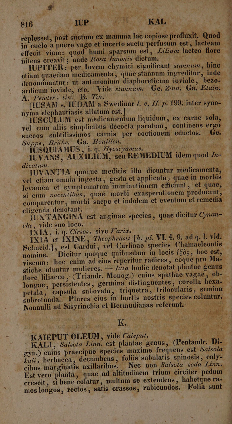 replesset, post sucfum ex mamma lae copiose profluxit. Quod in coelo a puero vago et incerto suctu perfusum est, lacteam effecit viam: quod humi sparsum est, Zum lacteo flore nitens creavit ; unde Zosa Junonis dictum. à Wr i IUPITER: per Iovem ehymici significant stannum, hinc etiam quaedam medicamenta , quae stannum ingreditur, inde . denominantur: ut antimonium diaphoreticum ioviale, bezo- ardicum ioviale, etc. Vide szannum. ' Ge. Zinn. Ga. Etain. A; Peter , Wc SEAT UU 00s YS 0463. ^t. SAMT LA Eas (IUSAM s, TÜDAM a Swediaur 7. c, Z7. p. 199. inter syno- nyma elephautiasis allatum est. | j^ ips | IUSCULUM est medicamentum liquidum, ex carne sola, vel cum aliis simplicibus decocta paratum, continens ergo ;suecos subtilissimos carnis per coctionem eductos. Ge. Suppe, Brühe. Ga. Bouillon. . |  PENIS | ; IUSQUIAMUS, i. q. ZZyoscyamus. — LL MM UE es 1UVANS, AUXILIOM, seu REMEDIUM idem quod 7n- dicatum. | RUE E NN LAS ALERT aero — qUVANTIA quoque medicis illa dicuntur medicamenta, vel etiam omnia ingesta, gesta et applicata, quae in morbis. levamen et symptomatum imminutionem efücint, et quae, ^ si cum nocentibus, quae morbi exasperationem producunt, - comparentur, morbi saepe ct indolem et eventum et remedia eligenda denofant. — | PO e LAM IUX' TANGINA est anginae species, quae dicitur Cynan- che, vide suo loco. IXIA , i. q. Cirsos, sive F'ariz. NOU NUNC IXIA et IXINE, Z7Aeophrasti [h. pl. VI. 4. 9. ad q. l. vid. Schneid.], est Cardui, vel Carlinae species Chamaeleontis nomine. Dicitur quoque quibusdam in locis /5óc, hoc est, viscum: hoc enim ad eius reperitur radices , eoque pro Ma- gfiche utuntur mulieres. — /xia hodie denotat plantae &amp;enus | flore liliacco ,: Triandr. Monog.) cuius spathae vagae, ob- . longae, persistentes , germina distinguentes, corolla hexa- | petala, capsula subovata, triquetra, trilocularis, semina subrotunda. Plures eius in hortis nostris species coluntur. Nonnulli ad Sisyrinchia et Bermudianas refétunti (0 9 E mm pe KAIEPUT OLEUM, vide Cazeput. pb b ts 7 KALI, $a/sola Linn. est plantae genus, (Pentandr. Di- . gyn.) cuius praecipue species maxime frequens est Salsola bali; herbaeea, decumbens , foliis subulatis spinosis, caly- cibus marginatis axillaribus. Nec non Sa/soía soda Linn. Est vero planta, quae ad altitudinem trium circiter pedum crescit, si bene colatur, multum se extendens , habetque ra- moslongos, rectos, satis crassos, rubicundos. Folia sunt