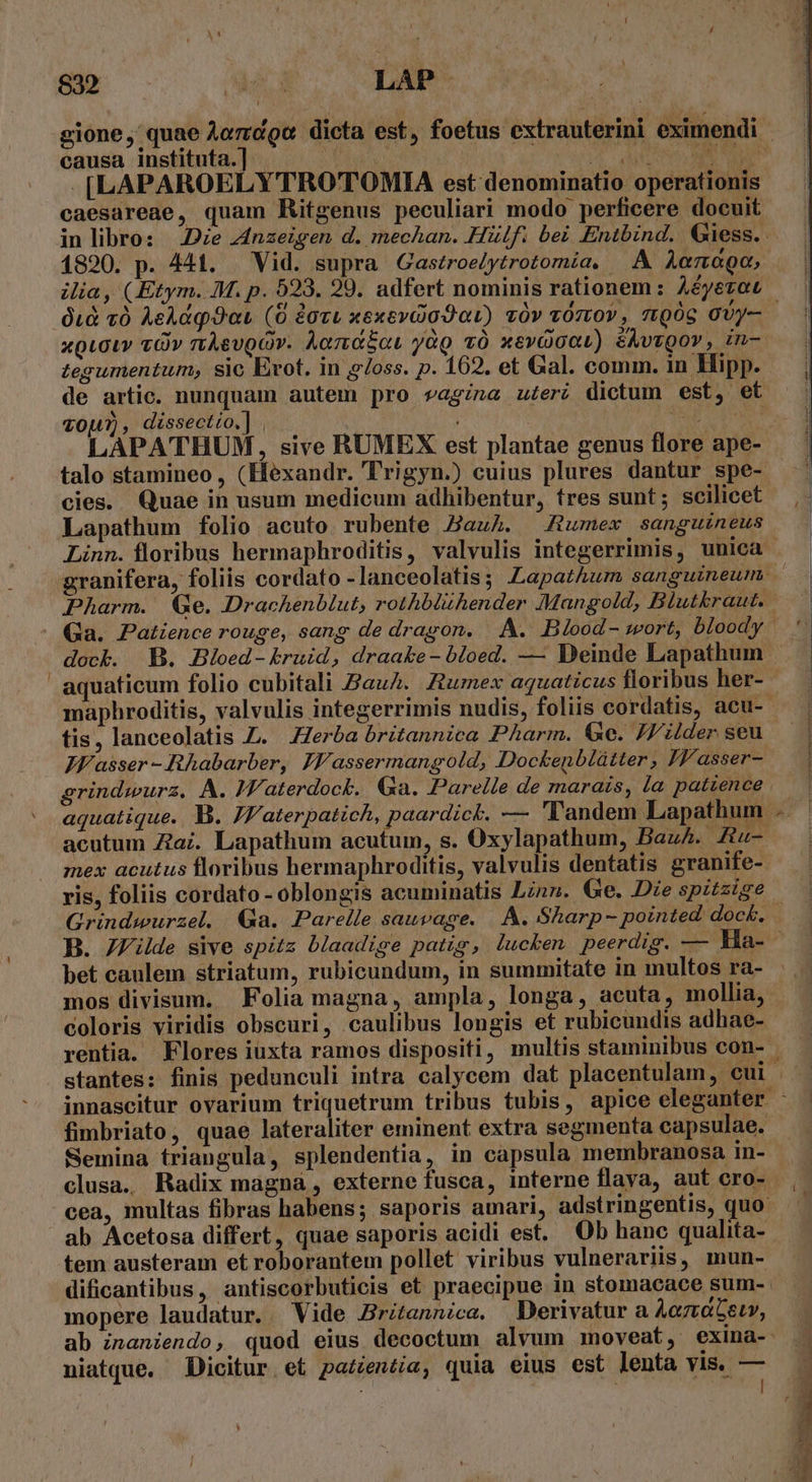 causa instituta.] | PER ICM ot - [LAPAROELY TROTOMIA est denominatio operationis caesareae, quam Ritgenus peculiari modo perficere docuit 1890. p. 441. Vid. supra Gastroeytrotomía, —. A Aera, 0.d v0 AeAdq 9a (0 aru xexevalo Jav) vÓv vOztO , TtQOG 0Uy-— xQLGitv Ov rtAevQOr. Aord£ot yàg vÓ xevdoat) ékvtgor, in- tegumentum; sic Evot. in &amp;/oss. p. 162. et Gal. comm. in Hipp. de artic. nunquam autem pro vagina uter? dictum est, et TOU?) , dissectío. ] 1n ad talo stamineo, (Hexandr. Trigyn.) cuius plures dantur spe- cies. Quae in usum medicum adhibentur, tres sunt; scilicet Lapathum folio acuto. rubente PJauLh. Zumex sanguineus Linn. floribus hermaphroditis, valvulis integerrimis, unica * aquaticum folio cubitali ZauA. Aumex aquatzcus floribus her- tis, lanceolatis ZL. Zerba britannica Pharm. Ge. 77 der seu JIW/asser - Rhabarber, JF/assermangold, Dockenblàtter , JI, asser- grindwurz. A. Jf'aterdock. Ga. Parelle de marais, la patience aquatique. B. JF'aterpatich, paardick. — 'l'andem Lapathum acutum Za. Lapathum acutum, s. Oxylapathum, BauA. fiu- mex acutus floribus hermaphroditis, valvulis dentatis granife- ris, foliis cordato - oblongis acuminatis Lznn. Ge. Die spitzige t B. 7Filde sive spitz blaadige patig, lucken peerdig. — Ha- mos divisum. Folia magna, ampla, longa, acuta, mollia, coloris viridis obscuri, caulibus longis et rubicundis adhae- Semina triangula, splendentia, in capsula membranosa in- clusa.. Radix magna , externe fusca, interne flava, aut ero- ab Acetosa differt, quae saporis acidi est. Ob hanc qualita- tem austeram et roborantem pollet viribus vulnerariis, mun- mopere laudatur. Vide Britannica. — Derivatur a Aazaetv, niatque. Dicitur et pazientia, quia eius est lenta vis. — iege se rum Y ; ewe Peu T LEE