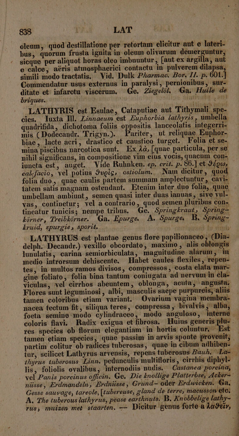 938. Da LAT oleum, quod destillatione per retortam: elicitur aut e lateri- bus, quorum frusta iguita in oleum olivarum demerguntur, sicque per aliquot horas oleo imbuuntur, [aut ex argilla, aut e calce, aéris atmosphaerici contactu in pulverem dilapsa, simili modo tractatis. ^ Vid. Dulk PAarmac. Bor. 17. p. 601. Commendatur usus externus in paralysi, pernionibus, sur- ditate et. infarotu viscerum. ^ Ge. Ziegeló Ga. Huile de briques. . RETI à Arii ebat re V enit LATHYRIS est Esulae, Cataputiae aut l'ithymali. spe- cies. luxta Ill. Zinnaeum est Euphorbia lathyris , umbella uadrifida, dichotoma foliis oppositis lanceolatis integerri- mis ( Dodecandr. 'rigyn.). Pariter , ut reliquae Euphor- biae, lacte acri, drastico et caustico turget. Folia et se- mina piscibus narcotica sunt. Ex 4à, [quae particula, per se nihil significans, in compositione vim eius vocis, quacum con- calefacio, vel potius 2vgig, ostiolum.. Nam dicitur, quod folia duo, quae caulis partem summam amplectuntur , cavi- tatem satis magnam ostendant. Etenim inter duo folia, quae umbellam ambiunt, semen quasi inter duas ianuas , sive vul- vas, continetur; vel a eonítrario, quod semen pluribus con- tineatur tunicis; nempe tribus. Ge. Springkraut, Spring- kórner, Treibkórner. Ga. Epurge AM. Spurge B. Spring- &ruid, spurgie, sporit.. E EAM e Seo ose ar! LATHYRUS est plantae genus flore papilionaceo , (Dia- delph.. Decandr.) vexillo obcordato, maximo, alis oblongis - Junulatis, carina semiorbiculata, magnitudine. alarum , in tes, in multos ramos divisos, compressos , costa elata mar- gine foliato, folia bina tantum coniugata ad nervum in ela- vieulas, vel cirrhos abeuntem, oblonga, acuta; angusta. Flores sunt leguminosi , albi, masculis saepe purpureis, aliis tamen coloribus etiam variant. Ovarium vagina membra- nacea tectum fit, siliqua teres, compressa , bivalvis , alba, res species ob florum elegantiam ' in hortis coluntur. - st partim colitur ob radices tuberosas, quae in cibum aüliüben- tur, scilicet Lathyrus arvensis, repens tuberosus Hauh. -La- thyrus tuberosus Linn. pedunculis multifloris , cirrhis diphyl- lis, foliolis ovalibus, internodiis nudis. —Casfanea poreina, nisse, Erdmandeln, Erdnüsse, Grund- oder Erdwicken. Ga. Gesse sauvage, tareole, [tubereuse, gland de terre; maeusson etc. 4 rus, muizen met staarten. — Dicitur genus forte a dogery, BE -—