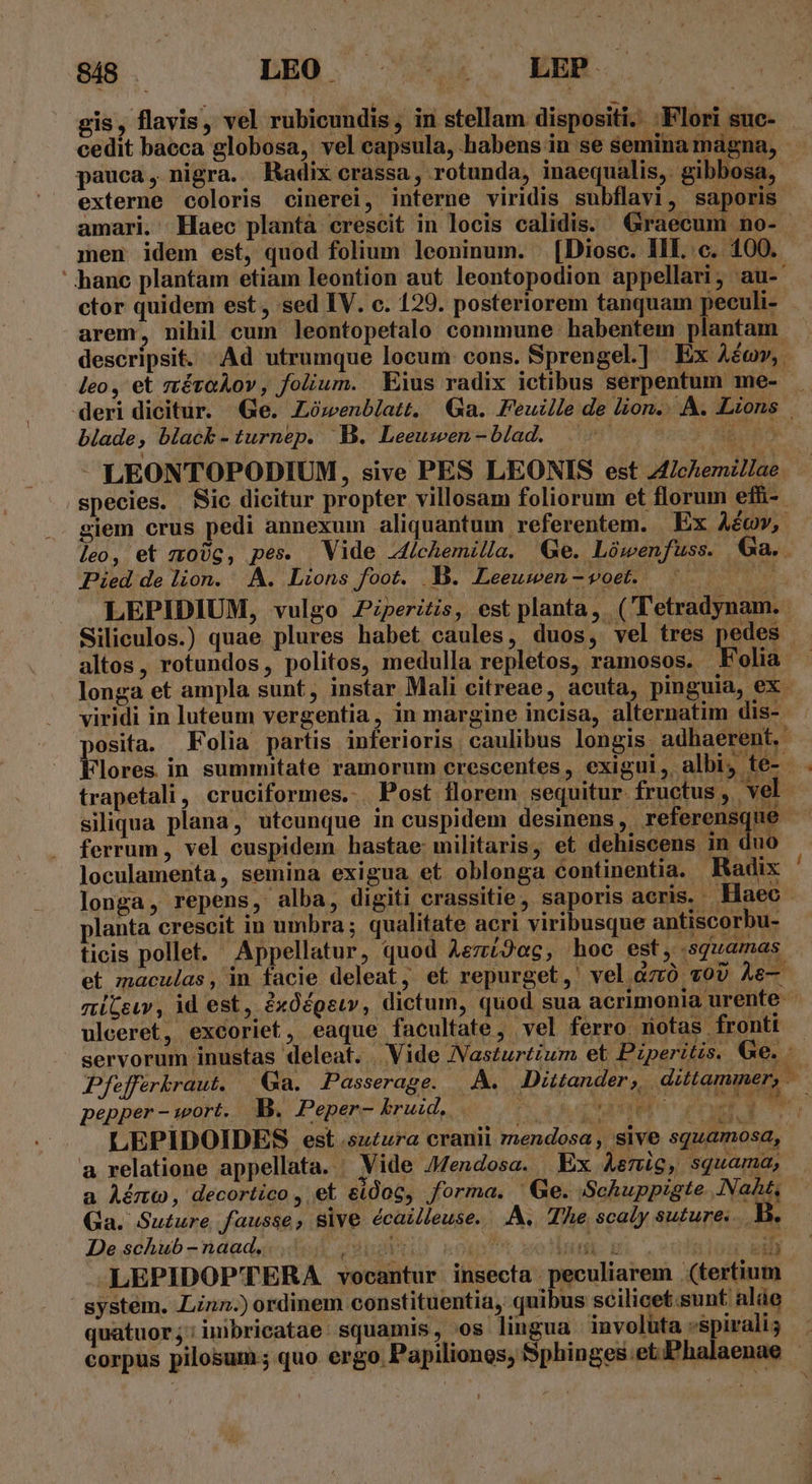 gis, flavis, vel rubicundis , in stellam dispositi. Flori suc- - cedit baeca globosa, vel capsula, habens in se semina magna, pauca, nigra. Radix crassa, rotunda, inaequalis, gibbosa, externe coloris cinerei, interne viridis subflavi, saporis. amari. Haec plantà crescit in locis calidis. Graecum no- men idem est, quod folium leoninum. .[Diosc. III. c. 100. ' hanc plantam etiam leontion aut leontopodion appellari, au- ctor quidem est, sed IV. c. 129. posteriorem tanquam peculi- arem, nihil cum leontopetalo commune habentem plantam descripsit. Ad utrumque locum: cons. Sprengel.] Ex Aécv,. leo, et ztéraAov, folium. ius radix ictibus serpentum me- deri dicitur. Ge. ZLóoenblatt, Ga. Feuille de lion... A. Lions blade, black -turnep. B. Leeumen-blad. INT - LEONTOPODIUM, sive PES LEONIS est Zchemillae species. Sic dicitur propter villosam foliorum et florum effi- giem crus pedi annexum aliquantum referentem. Ex Aécv, leo, et zmoUg, pes. Vide J4ichemilla. Ge. Lówenfuss. €Ga.. Pied de lion. A. Lions foot. .B. Leeuwen-voet. ^ NE LEPIDIUM, vulgo P:peritis, est planta, (''etradynam. Siliculos.) quae plures habet caules, duos, vel tres pedes - altos, rotundos, politos, medulla repletos, ramosos. Folia longa et ampla sunt, instar Mali citreae, acuta, pinguia, ex viridi in luteum vergentia, in margine incisa, alternatim dis- posita. Folia partis inferioris. caulibus longis: adhaerent, Flores in summitate ramorum crescentes, exigui, albi, te- » trapetali, cruciformes.. Post florem sequitur fructus , 'el siliqua plana, utcunque in cuspidem desinens ;, Ietereain e 1 ferrum, vel cuspidem hastae militaris, et dehiscens in duo loculamenta, semina exigua et oblonga continentia. Radix longa, repens, alba, digiti crassitie, saporis acris. Haec planta crescit in umbra; qualitate acri viribusque antiscorbu- ticis pollet. Appellatur, quod AezíJec, hoc est, sguamas et maculas, in facie deleat, et repurget,' vel .Gzó v00 À&amp;— niCsiv, id est, dxóégeu, dictum, quod sua acrimonia urente- ulceret, excoriet, eaque facultate, vel ferro. notas fronti servorum inustas deleat. .. Vide JNasturtium et Piperitis. Ge. Pfeffrbrau, Qu. Passerage. A. Dittander,, dittammer, pepper - wort. B. Peper- bruid,. Aya c due NU b j LEPIDOIDES est sutura cranii mendosa , sive squamosd, a relatione appellata. Vide JZendosa. Ex Aemig, squama, a Aémco, decortico , et &amp;eidoc, forma. Ge. Schuppigte.. Nat, Ga. Su£ure, fausse ; sive écailleuse. .A.. The scaly suture... b. De sóhub -naudsaecydek vussui og Iud ui ^ NM - -LEPIDOP'TERA vocantur insecta peculiarem (tertium system. .Linn.) ordinem constituentia, quibus scilicet.sunt aláe quatuor; imbricatae squamis, os lingua involuta -spiralig corpus pilosum ; quo ergo Papiliones, Sphinges.et.Phalaenae -