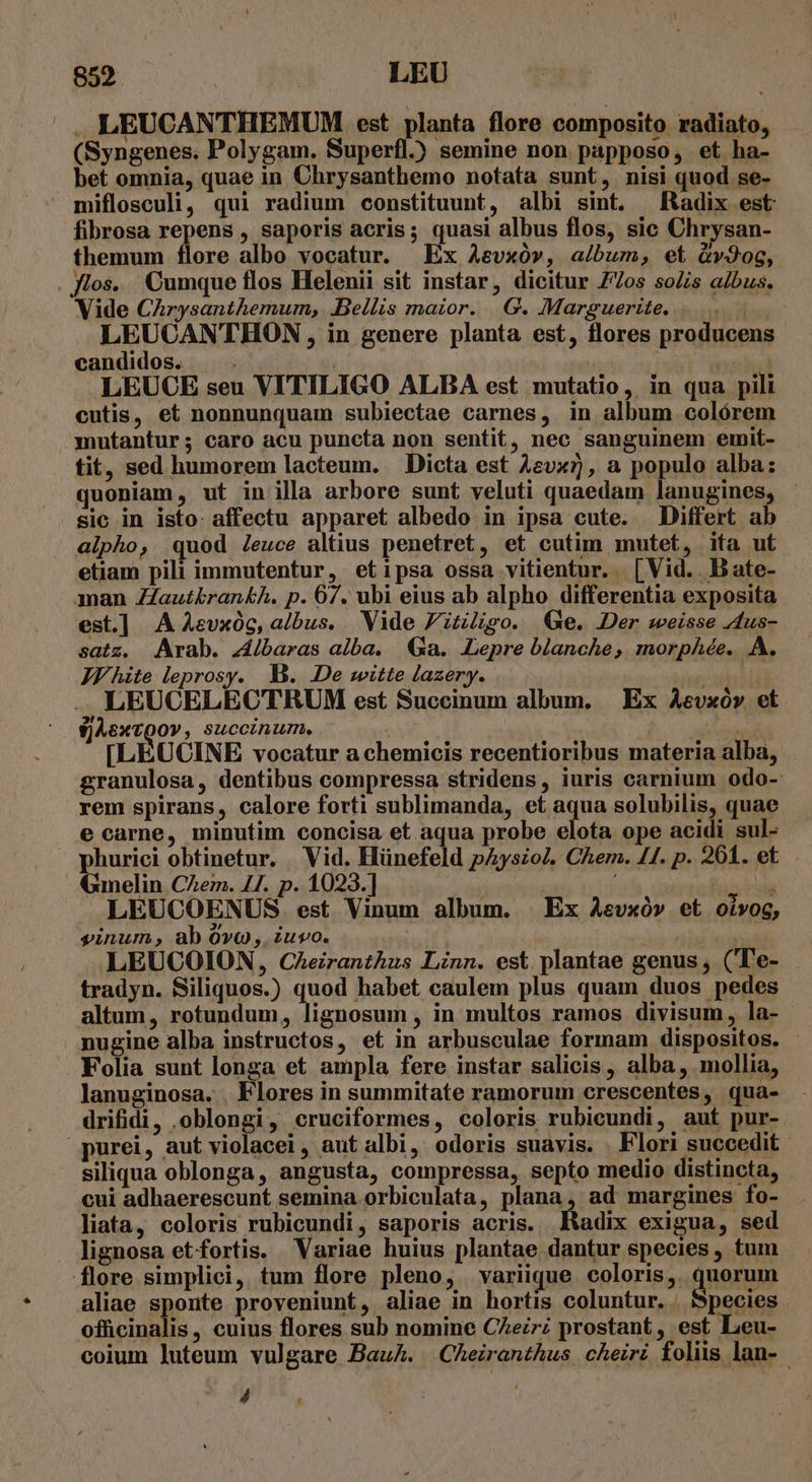 BEBO X LEU | | ». LEUCANTHEMUM est planta flore composito radiato, (Syngenes. Polygam. Superfl.) semine non papposo, et ha- bet omnia, quae in Chrysanthemo notata sunt, nisi quod se- miflosculi, qui radium constituunt, albi sint. Radix est fibrosa repens , saporis acris; quasi albus flos, sic Chrysan- themum flore albo vocatur. | Ex Aevxóv, a/bum, et &amp;v9og, flos. Cumque flos Helenii sit instar, dicitur Z/7os soZis abus. Vide CAzysanthemum, Bellis maior. .G. Marguerite. Vibe LEUCANTHON , in genere planta est, flores producens candidos. — . | m ud .LEUCE seu VITILIGO ALBA est mutatio, in qua pili cutis, et nonnunquam subiectae carnes, in album colórem mutantur; caro acu puncta non sentit, nec sanguinem emit- tit, sed humorem lacteum. Dicta est Azvx7), a populo alba: quoniam, ut in illa arbore sunt veluti quaedam lanugines, - sic in isto: affectu apparet albedo in ipsa cute. Differt ab alpho, quod Jeuce altius penetret, et cutim mutet, ita ut etiam pili immutentur, etipsa ossa vitientur. [Vid. Bate- man Zautkrankh. p. 67. ubi eius ab alpho differentia exposita est.] A Aevxüc, albus. Vide Fitiigo. Qe. Der weisse -dus- satz. Arab. z/baras alba. Ga. Lepre blanche, morpAée. A. JV hite leprosy. B. De witte lazery. LEUCELECTRUM est Succinum album. | Ex Aevxó» et fjAextQov y SUCcCinum. Tv sedi [LEUCINE vocatur a chemicis recentioribus materia alba, granulosa, dentibus compressa stridens, iuris carnium odo-: rem spirans, calore forti sublimanda, et aqua solubilis, quae e carne, minutim concisa et aqua probe elota ope acidi sul- phurici obtinetur. Vid. Hünefeld pAyszol. Chem. 41. p. 201. et. Gmelin CZen. 41. p. 1023.] ( TR LEUCOENUS est Vinum album. Ex Aevxó» et oivog, sinum, ab 0vo , iuvo. p LEUCOION, Caeiranthus Linn. est plantae genus , (Te- tradyn. Siliquos.) quod habet caulem plus quam duos pedes altum, rotundum, lignosum , in multos ramos divisum, la- nugine alba instructos, et in arbusculae formam dispositos. Folia sunt longa et ampla fere instar salicis, alba, mollia, lanuginosa. . Flores in summitate ramorum crescentes, qua- drifidi, oblongi, cruciformes, coloris rubieundi, aut pur- purei, aut violacei, aut albi, odoris suavis. . Flori succedit siliqua oblonga, angusta, compressa, septo medio distincta, cui adhaerescunt semina orbiculata, plana, ad margines fo- liata, coloris rubicundi, saporis acris. ltadix exigua, sed lignosa etfortis. Variae huius plantae dantur species , tum flore simplici, tum flore pleno, variique coloris, quorum aliae sponte proveniunt, aliae in hortis coluntur. . Species officinalis, cuius flores sub nomine CAeir; prostant, est Leu- coium luteum vulgare Bau. Cheiranthus cheiri foliis lan- -