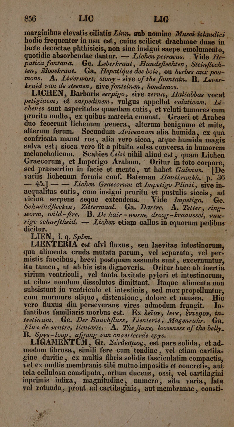 marginibus elevatis eiliatis Linn. sub nomine J4usci islandici - hodie frequenter in usu est, cuius scilicet drachmae duae in lacte decoctae phthisicis, non sine insigni saepe emolumento, quotidie absorbendae dantur. — .Licen petraeus. . Vide ZZe- patica fontana. | Qe. ILeberkraut , Hundsflechten , Steinftech- éen, JMooskraut. Ga. Hepatique des bois, ou herbes aux pou- mons. A. lLiverwort, stony - sive of the fountain. B. Lever- kruid van de steenen , sive fonteinen , hondsmos. LICHEN, Barbaris serpzgo, sive zerna, Haliabbas vocat petiginem, et sarpedinem, vulgus appellat eoZaticam. .Li- chenes sunt asperitates quaedam cutis, et veluti tumores cum pruritu multo, ex quibus materia emanat. Graeci et Arabes duo fecerunt lichenum genera, alterum benignum et mite, alterum ferum. Secundum .4vicennam alia humida, ex qua confricata manat ros, alia vero sicca, atque humida magis salva est; sicca vero fit a pituita salsa conversa in humorem melancholicum. | Scabies Ce/si nihil aliud est , quam Lichen Graecorum, et Impetigo Arabum. ' Oritur in toto corpore, .sed praesertim in facie et mento, ut habet Galenus. - [De variis lichenum' formis conf. Bateman ZJautiranbh, p. 306 — 49.] — — Lichen Graecorum et I[mpetiso Plinii, sive in- aequalitas cutis, cum insigni pruritu et pustulis siecis, ad vioina serpens seque extendens. ^ Vide Zmpetigo. Ge. Schwindflecken, Zittermaal. | Ga. Dartre. A. Tetter , ring- | seorm, wild-fire. B. De hair - worm, droog -kraaussel, euu- rige schurfiheid. — .Lichen etiam callus in equorum pedibus- dicitur. — Wá- LIEN, 1. q. Spen. n | LIENTERIA est alvi fluxus, seu laevitas intestinorum, qua alimenta cruda mutata parum, vel separata, vel per- mistis faecibus, brevi postquam assumta sunt, excernuntur, . ka tamen, ut ab his ista dignoveris. Oritur haec ab inertia . virium ventriculi, vel tanta laxitate pylori et intestinorum, ut cibos nondum ,dissolutos dimittant. Itaque alimenta non subsistunt in ventriculo et intestinis, sed mox propelluntur, cum murmure aliquo, distensione, dolore et nausea. Hic vero fluxus diu perseverans vires admodum frangit. In- fantibus familiaris morbus est. Ex Aeiov, Jeve, &amp;vT590», in- .. . testinum, .. Ge. Der Bauchfluss, .Lienterie, Magenruhr. |. Qa, lux de ventre, lienterie, A. The fluxe, looseness of the belly, B. Spys-loop, afzang van onverteerde spys. LIGAMENTUM, Gr. Zvvósonoc, est pars solida, et ad- modum fibrosa, simili fere cum tendine , vel etiam cartila- . gine duritie, ex multis fibris solidis fasciculatim compactis, vel ex multis membranis sibi mutuo impositis et concretis, aut tela cellulosa constipata,. ortum ducens, ossi, vel cartilagini inprimis infixa, magnitudine, numero, situ varia, lata vel rotunda, prout ad cartilaginis , aut membranae , consti- * d 5 52 IS UE