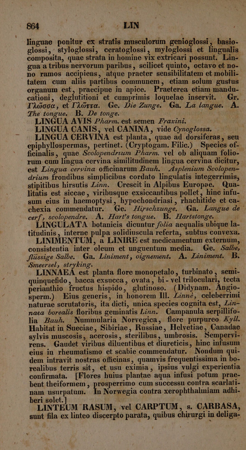 D linguae ponitur ex stratis musculorum genioglossi, basio- glossi,- styloglossi, ceratoglossi, myloglossi et lingualis composita, quae strata in homine vix extricari possunt. Lin- gua a tribus nervorum paribus, scilicet quinto, octavo et no- mno ramos accipiens, atque praeter sensibilitatem et mobili- tatem cum aliis partibus communem, etiam solum gustus organum est, praecipue in apice. Praeterea etiam mandu- cationi, deglutitioni et cumprimis loquelae inservit. ^ Gr. IÀdooco, etlAGvra. Ge. Die Zunge. Ga. La langue. A. The tongue, . B. De tonge. uoepd. NL. LINGUA AVIS PAarm. est semen. Zraxzni. LINGUA CANIS, vel CANINA, vide Cynog/ossa. LINGUA CERVINA est planta, quae ad dorsiferas, seu epiphyllospermas, pertinet. (Cryptogam. Filic.) Species of- ficinalis, quae Sco/opendrium Pharm. vel ob aliquam folio- rum cum lingua cervina similitudinem lingua cervina dicitur, . est Lingua cervina offücinarum Bauh. | Asplenium Scolopen- drium frondibus simplicibus cordato lingulatis integerrimis, stipitibus hirsutis Lznz. Crescitin Alpibus Europae. Qua- litatis est siccae, viribusque exsiccantibus pollet, hinc infu- sum eius in haemoptysi, hypochondriasi , rhachitide et ca- chexia commendatur. Ge. JZrschzunge. Ga. Langue de cerf, scolopendre. A. Hart^s tongue. B. ZHartstonge.  LINGULATA botanicis dicuntur /oZia aequalis ubique la- titudinis, interne pulpa solidiuscula referta, subtus convexa. LINIMENTUM, a LINIRE est medicamentum externum, consistentia inter oleum et unguentum media. Ge. Sabe, flüssige Salbe. Ga. Liniment, ojgnement. A. Liniment. B. Smeersel, stryking. f ! | LINNAEA est planta flore monopetalo, turbinato , semi- quinquefido, bacca exsucca, ovata, bi- vel triloculari, tecta perianthio fructus hispido, glutinoso. (Didynam. Angio- sperm.) Eius generis, in honorem Ill. Znné, celeberrimi naturae scrutatoris, ita dicti, unica species cognita est, Lzn- naea borealis floribus geminatis Linn. Campanula serpillifo- lia Bauh. Nummularia Norvegica, flore purpureo. KyZ. Habitat in Sueciae, Sibiriae, Russiae, Helvetiae, Canadae sylvis muscosis, acerosis, sterilibus, umbrosis. Sempervi-. rens. Gaudet viribus diluentibus et diureticis, hinc infusum eius in rheumatismo et scabie commendatur. Nondum qui- dem intravit nostras officinas, quamvis frequentissima in bo- realibus terris sit, et usu eximia, ipsius vulgi experientia confirmata, [Flores huius plantae aqua infusi potum prae- bent theiformem , prosperrimo cum successu contra scarlati- nam. usurpatum. | Ín Norwegia contra xerophthalmiam adhi- beri solet. ] : : LINTEUM RASUM, vel CARPTUM, s. CARBASA, sunt fila ex linteo discerpto parata, quibus chirurgi in deliga- n