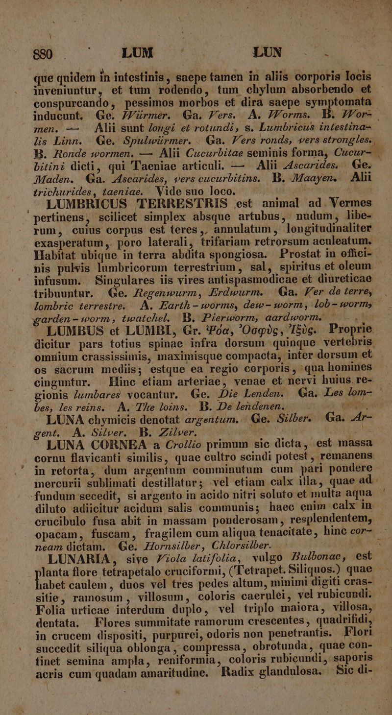 que quidem in intestinis, saepe famen in aliis corporis loeis inveniuntur, et tum rodendo, tum chylum absorbendo et conspurcando, pessimos morbos et dira saepe symptomata inducunt. Ge. //ürmer. a. Pers. A. JZForms. B. JFor-. zen. — Alii sunt Zongi et rotundi, s. Lumbricus intestina lis Linn. Ge. Spulmürmer. Ga. Vers ronds, vers strongles. , B. Ronde wormen. — Alii Cucurbitae seminis forma, Cucur- bitini dieti, qui 'aeniae articuli. — Alii z4scarides. Ge. Maden. a. .Ascarides, vers cucurbitins. B. Maayen, — Alii trichurides, taeniae. Vide suo loco. | | 34 cl M . LUMBRICUS TERRESTRIS est animal ad. Vermes pertinens, scilicet simplex absque artubus, nudum, libe- rum, cuius corpus est teres, annulatum, longitudinaliter exasperatum,. poro laterali, trifariam retrorsum aculeatum. Habitat ubique in terra abdita spongiosa. P'rostat in offici- nis pulvis lumbricorum terrestrium , sal, spiritus et oleum infusum.. Singulares iis vires antispasmodicae et diureticae tribuuntur. | Ge. Zegenwurm, KErdwurm. €a. Fer de terre, lombric terrestre. —.A. Earth - worms, dexw- worm , lob- worms, arden - worm , twatchel. B. Pierworm, aardworm. ^... LUMBUS et LUMBI, Gr. ?je, '0ogic, I£)c. Proprie. dicitur pars totius spinae infra dorsum quinque vertebris. omuium crassissimis, maximisque compacta, inter dorsum et os sacrum mediis; estque ea regio corporis, qua homines. cinguntur. Hine etiam arteriae, venae et nervi huius. re- gionis /umbares vocantur. Ge. Die Lenden. Ga. Les /om- bes, les reins. A. The loins. B. De lendenen. ——. gms. LUNA chymicis denotat argentum. Qe. Suber. Ga. 4r- gent. A. Silver. B. Zilver. We dose LUNA CORNEA a Cro//io primum sic dicta, est massa cornu flavicanti similis, quae cultro scindi potest , remanens in retorta, dum argentum comminutum cum pari pondere mercurii sublimati destillatur; :vel etiam calx illa, quae ad fundum secedit, si argento in acido nitri soluto et multa aqua diluto adiicitur acidum salis communis; haec enim calx in crucibulo fusa abit in massam ponderosam, resplendentem, opacam, fuscam, fragilem cum aliqua tenacitate, hinc cor- neam dictam. Ge. Zornsziber, Chlorsilber. . | LUNARIA, sive 7o/a latifolia, vulgo Bulbonae, est lanta flore tetrapetalo cruciformi, ('Tetrapet.Siliquos.) quae abet caulem, duos vel tres pedes altum, minimi digiti cras-— sitie, ramosum , villosum, coloris caerulei, vel rubicundi. | -Folia urticae interdum duplo, vel triplo maiora, villosa, dentata. Flores summitate ramorum crescentes, quadrifidi, in crucem dispositi, purpurei, odoris non penetrantis. Flori succedit siliqua oblonga , compressa, obrotunda, quae con- tinet semina ampla, reniformia, coloris rubicundi, saporis acris cum quadam amaritudine. Radix glandulosa. Bic di-