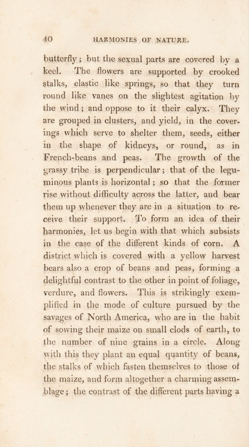 butterfly ; but the sexual parts are covered by a keeL The flowers are supported by crooked stalks, elastic like springs, so that they turn round like vanes on the slightest agitation by the wind ; and oppose to it their calyx. They are grouped in clusters, and yield, in the cover- ings which serve to shelter them, seeds, either in the shape of kidneys, or round, as in French-beans and peas. The growth of the grassy tribe is perpendicular; that of the legu- minous plants is horizontal ; so that the former rise without difficulty across the latter, and bear them up whenever they are in a situation to re- ceive their support. To form an idea of their harmonies, let us begin with that which subsists in the case of the different kinds of corn. A district which is covered with a yellow harvest bears also a crop of beans and peas, forming a delightful contrast to the other in point of foliage, verdure, and flow'ers. This is strikingly exem- plified in the mode of culture pursued by the savages of North America, who are in the habit of sowing their maize on small clods of earth, to the number of nine grains in a circle. Along with this they plant an equal quantity of beans, the stalks of which fasten themselves to those of the maize, and form altogether a charming assem- blage ; the contrast of the different parts having a