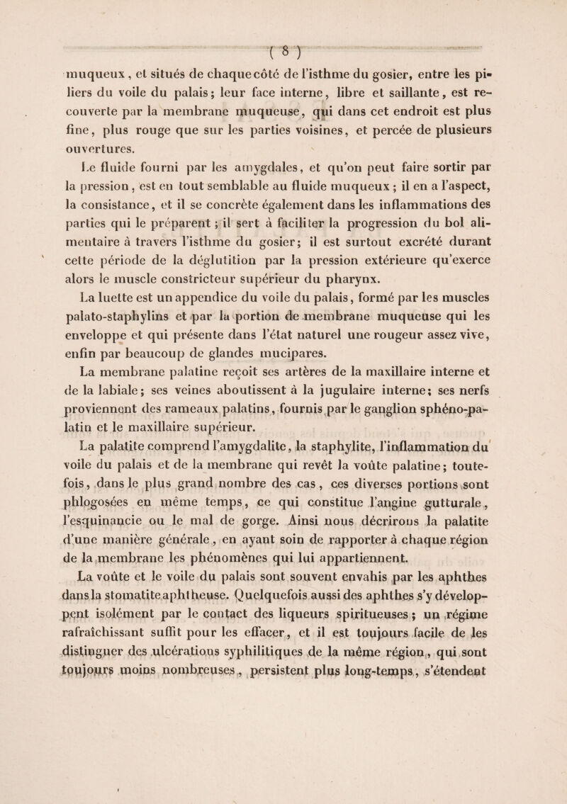 muqueux , et situés de chaque côté de l’isthme du gosier, entre les pi¬ liers du voile du palais; leur face interne, libre et saillante, est re¬ couverte par la membrane muqueuse, qui dans cet endroit est plus fine, plus rouge que sur les parties voisines, et percée de plusieurs ouvertures. Le fluide fourni par les amygdales, et qu’on peut faire sortir par la pression, est en tout semblable au fluide muqueux ; il en a l’aspect, la consistance, et il se concrète également dans les inflammations des parties qui le préparent ; il sert à faciliter la progression du bol ali¬ mentaire à travers l’isthme du gosier; il est surtout excrété durant cette période de la déglutition par la pression extérieure qu’exerce alors le muscle constricteur supérieur du pharynx. La luette est un appendice du voile du palais, formé par les muscles palato-staphylins et par la portion de membrane muqueuse qui les enveloppe et qui présente dans l’état naturel une rougeur assez vive, enfin par beaucoup de glandes mucipares. La membrane palatine reçoit ses artères de la maxillaire interne et de la labiale; ses veines aboutissent à la jugulaire interne; ses nerfs proviennent des rameaux palatins, fournis par le ganglion sphéno-pa- latin et le maxillaire supérieur. La palatite comprend l’amygdalite, la staphylite, l’inflammation du voile du palais et de la membrane qui revêt la voûte palatine; toute¬ fois, dans le plus grand nombre des cas, ces diverses portions sont phlogosées en même temps, ce qui constitue l’angine gutturale, l’esquinancie ou le mal de gorge. Ainsi nous décrirons la palatite d’une manière générale , en ayant soin de rapportera chaque région de la membrane les phénomènes qui lui appartiennent. La voûte et le voile du palais sont souvent envahis par les aphthes dans la stomatite aphtheuse. Quelquefois aussi des aphthes s’y dévelop¬ pent isolément par le contact des liqueurs spiritueuses ; un régime rafraîchissant suffit pour les effacer, et il est toujours facile de les distinguer des ulcérations syphilitiques de la même région, qui sont toujours moins nombreuses, persistent plus long-temps , s’étendent