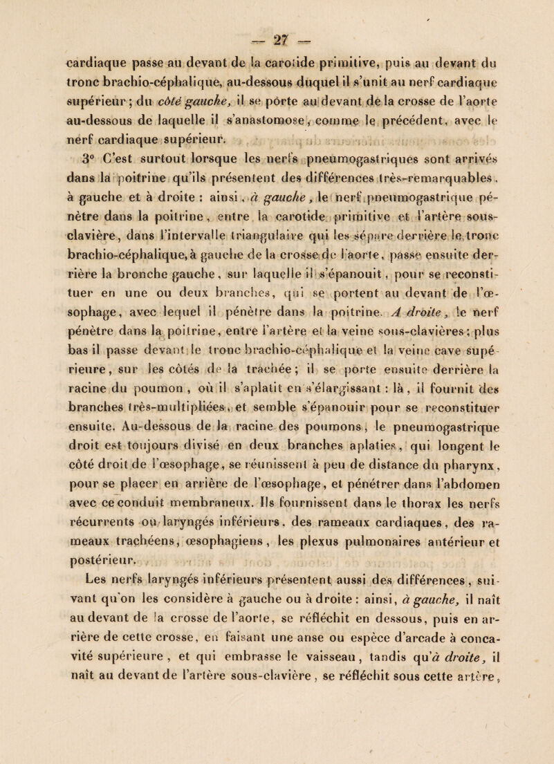 cardiaque passe au devant de Sa carotide primitive, puis au devant du tronc brachio-céphalique, au-dessous duquel il s’unit au nerf cardiaque supérieur ; du côté gauche, il se porte au devant de la crosse de l’aorte au-dessous de laquelle il s’anastomose, comme le précédent, avec le nerf cardiaque supérieur. 3° C’est surtout lorsque les nerfs pneumogastriques sont arrivés dans la poitrine qu’ils présentent des différences très-remarquables, à gauche et à droite : ainsi, à gauche , le nerf pneumogastrique pé¬ nètre dans la poitrine, entre la carotide primitive et l’artère sous- clavière, dans l’intervalle triangulaire qui les sépare derrière le tronc brachio-céphalique,à gauche de la crosse de I aorte, passe ensuite der¬ rière la bronche gauche, sur laquelle il s’épanouit, pour se reconsti¬ tuer en une ou deux brandies, qui se portent au devant de l’œ¬ sophage, avec lequel il pénètre dans la poitrine. A droite, le nerf pénètre dans la poitrine, entre l’artère el la veine sous-clavières; plus bas il passe devant le tronc brachio-céphalique et la veine cave supé¬ rieure, sur les côtés de la trachée; il se porte ensuite derrière la racine du poumon , où il s’aplatit en s’élargissant : là , ü fournit des branches très-multipliées, et semble s’épanouir pour se reconstituer ensuite. Au-dessous de la racine des poumons, le pneumogastrique droit est toujours divisé en deux branches aplaties , qui longent le côté droit de l’œsophage, se réunissent à peu de distance du pharynx, pour se placer en arrière de l’œsophage, et pénétrer dans l’abdomen avec ce conduit membraneux. ïls fournissent dans le thorax les nerfs récurrents ou laryngés inférieurs, des rameaux cardiaques, des ra¬ meaux trachéens, œsophagiens, les plexus pulmonaires antérieur et postérieur. Les nerfs laryngés inférieurs présentent aussi des différences, sui¬ vant qu'on les considère à gauche ou adroite: ainsi, à gauche, il naît au devant de la crosse de l’aorte, se réfléchit en dessous, puis en ar¬ rière de cette crosse, en faisant une anse ou espèce d’arcade à conca¬ vité supérieure , et qui embrasse le vaisseau, tandis qu'à droite, il naît au devant de l’artère sous-clavière , se réfléchit sous cette artère.