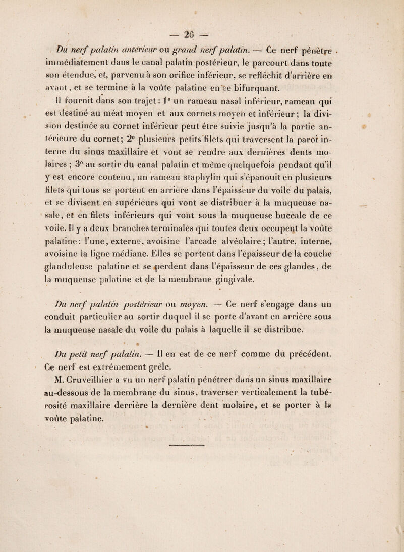 Du nerf palatin antérieur ou grand nerf palatin. — Ce nerf pénètre • immédiatement dans le canal palatin postérieur, le parcourt dans toute son étendue, et, parvenu à son orifice inférieur, se réfléchit d’arrière eu avant, et se termine à la voûte palatine en'ëe bifurquant. 11 fournit dans son trajet: 1° un rameau nasal inférieur, rameau qui est destiné au méat moyen et aux cornets moyen et inférieur; la divi¬ sion destinée au cornet inférieur peut être suivie jusqu’à la partie an¬ térieure du cornet; 2° plusieurs petits filets qui traversent la paror in¬ terne du sinus maxillaire et vont se rendre aux dernières dents mo¬ laires ; 3° au sortir du canal palatin et même quelquefois pendant qu’il y est encore contenu, un rameau staphylin qui s’épanouit en plusieurs filets qui tous se portent en arrière dans l’épaisseur du voile du palais, et se divisent en supérieurs qui vont se distribuer à la muqueuse na¬ sale, et en filets inférieurs qui vont sous la muqueuse buccale de ce voile. Il y a deux branches terminales qui toutes deux occupent la voûte palatine : l’une, externe, avoisine l’arcade alvéolaire ; l’autre, interne, avoisine la ligne médiane. Elles se portent dans l’épaisseur de la couche glanduleuse palatine et se perdent dans l’épaisseur de ces glandes, de la muqueuse palatine et de la membrane gingivale. Du nerf palatin postérieur ou moyen. — Ce nerf s’engage dans un conduit particulier au sortir duquel il se porte d’avant en arrière sous la muqueuse nasale du voile du palais à laquelle il se distribue. T • « Du petit nerf palatin. — 11 en est de ce nerf comme du précédent. Ce nerf est extrêmement grêle. M. Cruveilhier a vu un nerf palatin pénétrer dans un sinus maxillaire au-dessous de la membrane du sinus, traverser verticalement la tubé¬ rosité maxillaire derrière la dernière dent molaire, et se porter à la voûte palatine. ■ * ' /