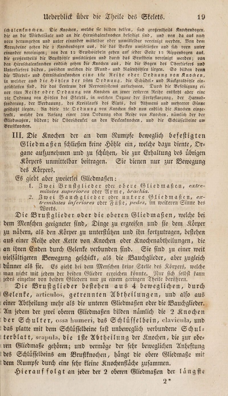 fcl)aIenfnoct)en. Sie Änoclieit, iveld)c fie btfbcn ijelfcn, unb ^vo^entf)eUä Änod)cnbogen, bte an bie ^Birbeifäurc unb an bie Jpirnfcfjafenfnodjen befefiigt finb, unb üon ba auä nactf öorn i^crumgeljen unb unter einanber mittelbar ober unmittetbar oereinigt merben. ®on bcm Itreujbeine geben bie 2 Änocbenbogen au^, bie baö Q3edfen umfditie^en unb ftd) oorn unter einanber oereinigen; oon ben 12 33ruft»oirbetn gefjen auf jeber ©eite 12 S'lt^jpenbogcn au5, bie gro^entbeitö bie JBruftbabtc umfcbtiegen unb burd) baö SSrultbein oereinigt werben; oo» ben ^irnfcbatenfnocben enbtid) geben bie Änod)en au^, bie bie 33ogen be^ S!)berfieferä unb ttnterfiefer^ biiben, jwifcben loetcben bie aOtunb? unb Sf^afenböbten liegen. @0 bitben benn bie 2Birbet:» unb .^irnfcbalenfnocben eine ilte 3fteibe ober Drbnung oon itnocben, in weld)er auch bie ^öbtr« ber iften Drbnung, bie @d)äbel» unb Kiicfgratböbtr rin« gefcbtoffen ftnb, bie baö (Zentrum bei Sfteroenfoftemö aufnebmen. ©urd) bie 93efeftigung eU ner 2ten Dteibr ober ©rbnung oon ifnoeben an jener erfteren 9leibe entflebt aber eine 2te .Orbnung oon Jpöbfen be^ ©fetetö, in wetdjen Organe ber S^ort^jflanäung, ber .fjarnab- fonberung, ber SSerbauung, beö itrei^taufl beö 33tut^, beg Sltbmen^ unb mehrerer ©inne gefcbii^t liegen. 5tn biefe 2te O r b n u n g oon itnoeben jtnb nun enbticb bie ifnodjen einge* teuft, wetebe ben 3(nfang einer 5ten Örbnung ober 3leibe oon Änoeben, namtidt ber ber ©liebma^en, bitben; bie Oberfebenfet an ben 33ecEenfnocben, unb bie ©ebtüffetbeine om ‘^Sruftfnoeben. III. ^ie ^norf)en t)cr an tem O^nmpfe bewe^lid; befefiigten ©Uebmagen fd[)negen feine ^ol^te ein, n)eldS)e baju biente, £)r5 gane auf§unet)men unb ju fci)ü|en/ bie jur (gr^altung be§ übrigen ^6rper§ unmittelbar beitragen. 0ie bienen nur jur Bewegung be§ .^6rper§. giebt aber jmeierlei ©liebmagen: 1. 3 w e t 23 r u jt g 11 e b e r Dbei* 0 6 e r e 0 11 e b m a ^ C/ii, extre- mitates superiores obCf 2lvtlte, bracJiia. 2. 3 it) e i 23 a it d) g f i e b e r über tut t e r e i e b m a ^ e n, ex- tremitates inferior es 3“ä^e/ pedes, im meitereu @inne be^ ' SSortö. ^ie SSruftglieber ober bie oberen ©liebma^en, meiere bei bem 1l)tenfdj)en geeigneter finb, ^inge ju ergreifen unb fie bem ^torper ju nabern, als ben .Körper p unterftü^en unb ibn fortjutragen, bejieben aus einer S^ei^e ober ^ette oon ^noeben ober .^nocbenabtbeilungen; bie an ihren ©nben bureb 0elenfe oerbunben finb. @ie finb ju einer meit oielfaltigeren Bewegung gefd)i(ft, als bie ^audbglieber, aber gugleid) bünner als fie. ©'b giebt bei bem 3i}tenfd)en teine ©teile beo iförperi^, treidle man nicht mit jebem ber beiben ©lieber erreichen tonnte. Otur ftd) felbft fann iebc^ einzelne pon beiben ©liebem nur p einem geringen ^^beile berühren. ^ie SSrufiglieber begehen auS 4 bevoeglicben, bureb ©elenfe, articulos, getrennten Tfbtb^ilttngen, unb alfo auS einer 2(btbeilung mehr als bie unteren @liebmafen ober bie SSaucbglieber. ^In jebem ber jtoei oberen (Sliebmagen bilben namlicb bie 2 Jtnodhen ber Schulter, ossa Immeri, baS 0dblüffelbein, davicnla, unb baS ^)latte mit bem ©cblüffelbeine fajl unbemcglicb oerbunbene ©cbul = terblatt, scapula, bie Ifte 2Cbtbeilung ber .^nod)en, bie §ur obe? ren ©liebmage geboren; unb oermoge ber febr bemeglicben 2lnbeftung beS 0cblüffelbeinS am S5ruüfnod)en, büngt bie obere ©liebma^c mit bem Stumpfe burdb eine febr fleine .^nodbenflad)e jufammen. »^ierauffolgt an jeber ber 2 oberen ©liebmafen ber (angfie 2*^