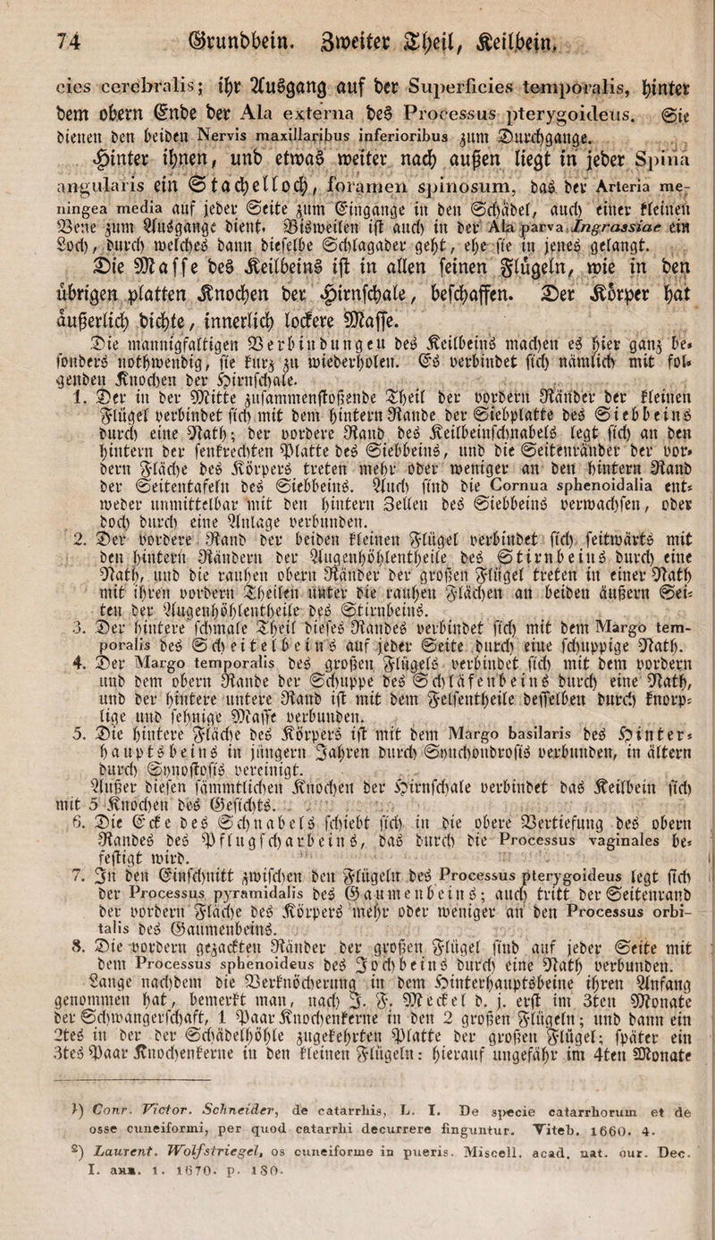 cies cerebralis; 1^1? 2(u§3ön3 auf bcc Superficies tempöralis, biutet bem obctn @nbe be^ Ala externa be6 Processus pterygoicleus. 0te bienen ben beibcn Nervis maxillarilsus inferioribus ^ni’cbGrtttg«. hinter ibnen, unb etwa^ weiter nach außen liegt in jeber Spina angularis ein 0ta4)cllod[)j foranien spinosum, ba^ bev Arteria me- ningea media auf febet; 6eite_^_nm (J'inganöe in ben 0cbabei, and) einer tteinen 23ene ^um ^n^gan^e bient» ^t^meiien ift and) in ber Ala parvaei« Sod), bnrd) welcbe» bann biefelbe @d)(agaber gel^t; ef)c^ fte tn jene^ gelangt. X)ie ^affe beS Keilbein! ijl in allen feinen glügeln^ wie in ben übrigenjplatten ^nod)en ber ^irnfcbale, befdS)affcn. 2)er »Eorper bat außerlidj) biebte, innerlich lorfere ^affe. !^ne mannigfaltigen 93erHnbungeu be» ^eilbeinö mad)en e^ gan^ be» fottberö notbmenbig, fte fnr^ au mieberbolen. rerbinbet ftd) nämlid) mit fol* genben jvnod)en ber öirnfd)ale. 1. !3)er in ber 9)?itte aufammenltofjenbe Sbcil ber rorbern Olcinber ber fleinen ^iylügel rerbinbet ftd) mit bem bintern Staube ber ©icbplatte beö @iebbeinö burd) eine Statb; ber rorberc Staub be^ .feilbeinfd)nabelb legt ftd) an ben ^intern ber fentred)ten S^latte beö ©iebbeinä, itnb bie ©eitenranber ber ror» bern ^*läd)e beö .Eörperb treten mebr ober weniger an ben bintern Staub ber ©eitentafeln be^ 0iebbein^. Qlitd) ftnb bie Gomua sphenoidalia ent* Weber unmittelbar mit ben bintern Sellen be^ @iebbeinö perwaebfeu/ ober bod) burd) eine Qlnlage perbunben. 2. ®er porbere Staub ber betben kleinen Flügel perbinbet ftd). feitwärtb mit ben bintern Stäubern ber Slugenböblentbeile beö 0tirnbeiuö burd) eine Stat|, unb bie rauben obern Stäuber ber grof’en Flügel treten in einer Statb mit ihren porbern s^b^ilm unter bie rauben 6däd)en an betben äußern 0ef teil ber ^lugenböblentbeile beb 0tirnbeinb. 3. :Ser biutere fdimale ^b^il biefeb Staube» perbinbet ftcb mit bem Margo tem- poralis beb 0 d) et t e 1 b e i u b auf jeber 0eite burd) eine fd)uppige Statb- 4. ®er Margo temporalis beb gro^eti, ^lugelb perbinbet ftd) mit bem porbern unb bem obern ^anbe ber 0d)uppe beb 0d)läfenbeiub bttreb eine Statb/ unb ber bmtere untere Staub ift mit bem ^-elfentbeile beffelben burd) fnorp? lige unb febnige SStalTe oerbunben. 5. 2)te biutere J^däd)e beb Körpers ifl mit bem Margo basilaris beb ^ int er* bauptbbeinb in jüngern Sabren burd) 0i)nd)onbroftb perbttnben, in altern burd) 0i)nDftoftb pereinigt. 21tt^er biefen fämmtlid)en .^nod)en ber bpirnfd)ale Perbinbet bab Keilbein fid) mit 5 Jtnod)en be-b @eftd)tb. 6. S)ie ©c6e beb 0d)nabelb fd)iebt ftd) in bie obere 33ertiefung beb obern Stanbeb beb S3flugfd)arb ein b, bab burd) bie Processus vaginales be* fejtigt wirb. ' il 7. 3n ben @infd)nitt ^wifdten ben 'klügeln beb Processus pterygoideus legt ftd> h ber Processus pj^ramidalis beb @aumettbeinb; aitd) tritt ber 0eitenranb ber porbern ?5läd)e beb .^örperb mebr ober weniger an ben Processus orbi- talis beb ©aumenbeinb. 8. ®ie porbern gelebten Stäuber ber großen Ringel ftnb auf jeber 0eite mit ' bem Processus spbenoideus beb ^0d)beinb burd) eine Statb oerbunben. Sange nad)bem bie 93erbnöd)erttng in bem ibinterbauptbbeine ihren Einfang genommen i)at, bemerkt man, nad) 5. W. S)tecbel b. j. erft im 3ten ?Otonate ber 0d)wangerfd)aft, 1 S3uar.^nod)enferne in ben 2 großen ^liigelu; unb bann ein 2teb in ber ber 0d)äbeiböble pgebebrten S)lutte ber grolien 3^1ügel; fpäter ein 3teb S)uur jvnod)enberne in ben fleinen Ringeln: bict’fluf ungefähr im 4ten SJtonate Conr. Victor. Schneider, de catarrhis, Tj. I. De sj>ccie catarrhoriiin et de osse cimeiformi, per qnod catarrlii decxirrere finguiitur. Titeb. 1660. 4. ®) Laurent. Wolf Striegel, os cixneiforuie in piieris. Miscell. acad. uat. oiir. Dec. I. aH». t. 1670. p- ISO.