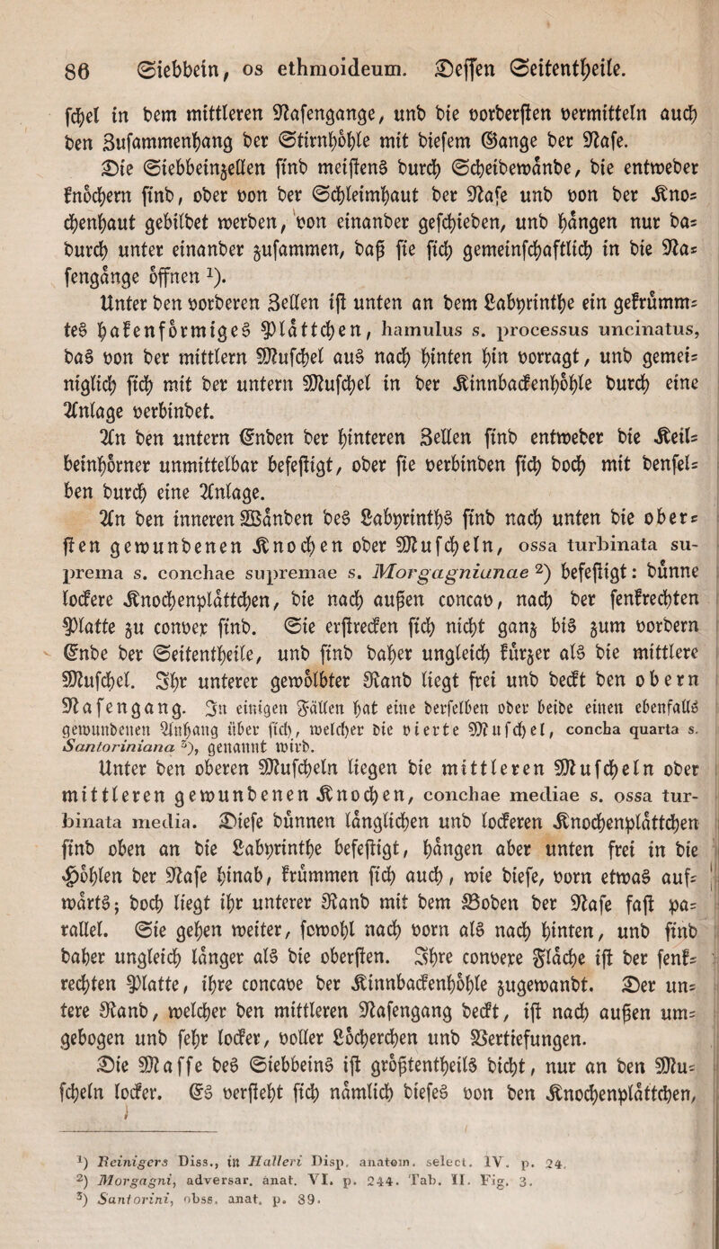 fcbel in bem mittleren ^Zafengange, tinb bte öorberfien vermitteln auch ben Bufammenbang ber 0tirnb6ble mit biefem ©ange ber ^Jlafe. £)ie ©iebbeinjellen ftnb meijlenS burd) ©cfeeibemanbe, bie entmeber fn6d()ern ftnb, ober von ber ©djleimbaut ber 9^afe unb von ber ^nos d()enl)aut gebilbet merben/von einanber gefcbieben, unb bangen nur bas burcb unter einanber jufammen, baft fte ft^ gemeinfcbaftlicb in bie 9^as : fengan^e offnen ^). Unter ben vorberen Bellen ijl unten an bem ßab^rintbe ein gefrumms te§ b<^^^^förmige§ 5)lattcben, hamulus s. processus undnatus, ba§ von ber mittlern ?0?ufd)el au§ nad) bii^ten bi^^ vorragt, unb gemein niglid) ftdb mit ber untern 5!}tufcbel in ber ^innbadenboble burcb eine 2Cnla9e verbinbet. 2ln ben untern ^nben ber hinteren Bellen ftnb entmeber bie ^eils beinborner unmittelbar befejtigt/ ober fie verbinben ftcb bodb mit benfeU ben burdb eine Einlage. 2ln ben innerenSÖSanben be§ Sab^rintb§ ftnb nach unten bie obere fien gemunbenen Änod^en ober ^Ötufdbeln, ossa turbinata su~ prema s. conchae supremae s. Morgagnianae 2) befejligt: bunne loifere ^nod)enplattcben, bie nach außen concav, nach ber fenfreebten 5)lafte ju conver ftnb. ©ie erjtreden ftd) nid)t ganj bis jum vorbern ; ^nbe ber ©eitentbeile, unb ftnb baber ungleich furjer als bie mittlere 50tufcbel. Sbt^ unterer gemolbter S^anb liegt frei unb bedt ben obern 9lafengang. B« eitugen b^tt eine berfetDen ober beibe einen ebenfaUS gemnnbenen ^nbnng übet fid), n:)etd)ef bie nievte 5t)?ufd)el, concta quarta s. Santoriniana 2), genannt toivb. Unter ben oberen 5Ötufd)eln liegen bie mittleren fOlufcbeln ober mittleren gemunbenen^nodben, conchae mediae s. ossa tur¬ binata media. £)iefe bunnen länglichen unb loderen ^nocben^lattcben i ftnb oben an bie Sabprintbe befejligt, bangen aber unten frei in bie ^ fohlen ber S^afe hinab, frümmen ft^ auch, mie biefe, vorn etmaS aufs || martS; boeb liegt ihr unterer 0?anb mit bem S5oben ber Btafe faft :pas ti rallel. ©ie geben meiter, fomobl nad) vorn als nach bunten, unb ftnb baber ungleich langer als bie oberfien. Sbte convere gldcbe ijt ber fenfs :• regten glatte, ihre concave ber .^innbadenboble jugemanbt. ^er uns tere S^tanb, melcber ben mittleren Btafengang bedt, ift nach außen ums gebogen unb febr loder, voller ßocberd)en unb S5ertiefungen. 0ie üDtaffe beS 0iebbeinS ift großtentbeilS biebt, nur an ben SDtus fcbeln loder. ©S verßebt ftcb ndmlicb biefeS von ben ^nocbenpldttcben, , Reinigers Diss., in Halleri Disp, anatoin. selecl. IV, p. 24, 2) Morgagni, adversar. änat. VI. p. 244. Tab. II. Fig, 3. Santorini, obss. anal. p. 89.