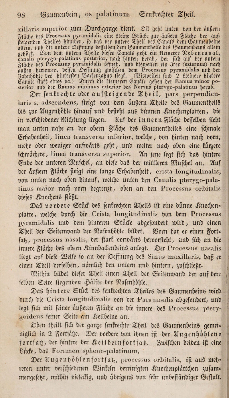 xillaris siq^erior jitm ^itrcbgönge bient. £)ft get;t unten non tev änfjei’n ^läd)e tCö Processus pyramidalis eine fleittc 33tücte ändern ^fäd)e be^ anf* fletgcnbcn ^beiteö j^inübet, fo bafä ber untere bei5 (Janalö bem ©aumenbetne attein, iiub bte untere £)eftnuug beffelben bem ©aument^eife beö ©aumeubeinö aUein gehört. 93Dn bem untern Zi)tik biefeö ^analö ge^t ein Hetuerer ebene anal, canalis pterygo-palatinus posterior, uurf) ^tUten ()erab, bei* ftcf) auf bei UUtem ^läd)e beö Processus pyramidalis öffnet^ UUb bt^metleu etU 3ter (externus) nud) ciufsen, 'beruntevr beffen £?effnuug 5tt)tfd)en bem Processus pyramidalis unb ber 3at)uböl)te be^ ]^{nter(ten 93ac6en^a^n^ liegt. (93i6mei(en ftnb 2 Heinere t)ttttere Kanäle itatt eineö ba.) ®urd) bte Heineren (Janiile ge^en ber Ramus minor po¬ sterior unb ber Ramus minimus exterior beö Nervus pterygo-palatinus l^erub. ^er fenfreebte ober aufftei^enbe pjars perpendicu- laris s. adsceiidens, jteigt oon bem aupem be0 ©aumentbeilS bis jur ^tu^enbobte binonf unb beftebt auS bünnen .tnoi^enplatten, bie in oerfebiebener Otiebtung liegen. 2Cuf ber innern Slacbe beffelben fiebt man unten nabe an ber obern glacbe beS ©aumentbeiteS eine febmate ©rbabenbeit, linea transversa inferior, melcbe, oon bunten nad) oorn, mehr ober mentger aufwärts gebt,. unb weiter nach oben eine furjere fd)wacbere, linea transversa snperior. 2Cn jene legt fid) baS bittere ©nbe ber unteren 50tufcbel, an biefe baS ber mittleren SOtufcbel an. 2luf ber äußern Slacbe fleigt eine lange ©rbabenbeit, crista longitudinalis, oou unten nach oben bii^auf/ welche unten ben Canalis pterygo-pala- tinns maior nacb Oom begrenzt ^ oben an ben Processus’orbitalis biefeS .^nodjenS jlo^t. ^aS oorbere ©tüd beS fenfredeten S^beiB ij! eine bunne .Knod^ens platte ^ welche burdf) bie Crista longitudinalis oon bem Processus l^yramidalis unb bem hinteren 0tuc!e abgefonbert wirb, unb einen ^beil ber ©eitenwanb ber S^tafenboble bilbet. S5orn bnt er einen gorts fa^, processus nasalis, ber ftari^ oorwartS beroorjlebt, unb ftcb an bie innere glacbe beS obern .^innbadPenbeinS anlegt, ^er Processus nasalis liegt auf biefe Sßeife fo an ber ^effnung beS Sinus maxillaris, baf er einen Scheit berfelben, ndmlicb ben untern unb hintern, gufcbliept. ?!}titbin bilbet biefer ^bed einen ^beil ber 0eitenwanb ber auf bers felben ©eite liegenbeu .^dlfte ber 9^afenh6ble. :0aS hintere ©tud beS fenfreebten SheileS beS ©aumenbeinS wirb bureb bie Crista longitudinalis oon ber Pars nasalis abgefonbert, unb legt ftch mit feiner duneren gldcbe an bie innere beS Processus ptery- goideus feiner ©eite am J^^eilbetnc an. ^ben tbeilt ffd) ber gange fenfreebte'Sl^heil be6 ©aumenbein^ gemein niglid) in 2 gortfd^e. ^er oorbere oon ihnen i|l ber 2(ugenbbblens fortfa^, ber hintere ber .^eilbeinfortfab. 3wifcben beiben ijl eine 2:Udfc, ba§ Forainen splieno-palatinuin, 2)er 2Cugenbbblenfortfab, processus orbitalis, tjf au6 meb= reren unter oerfdbiebenen 2Bin!eln bereinigten ^nocbenpldttd[)en gufam^ mengefei^t, mithin bieledfig, unb übrigens bon febr unbejldnbiger ©ejlalt.