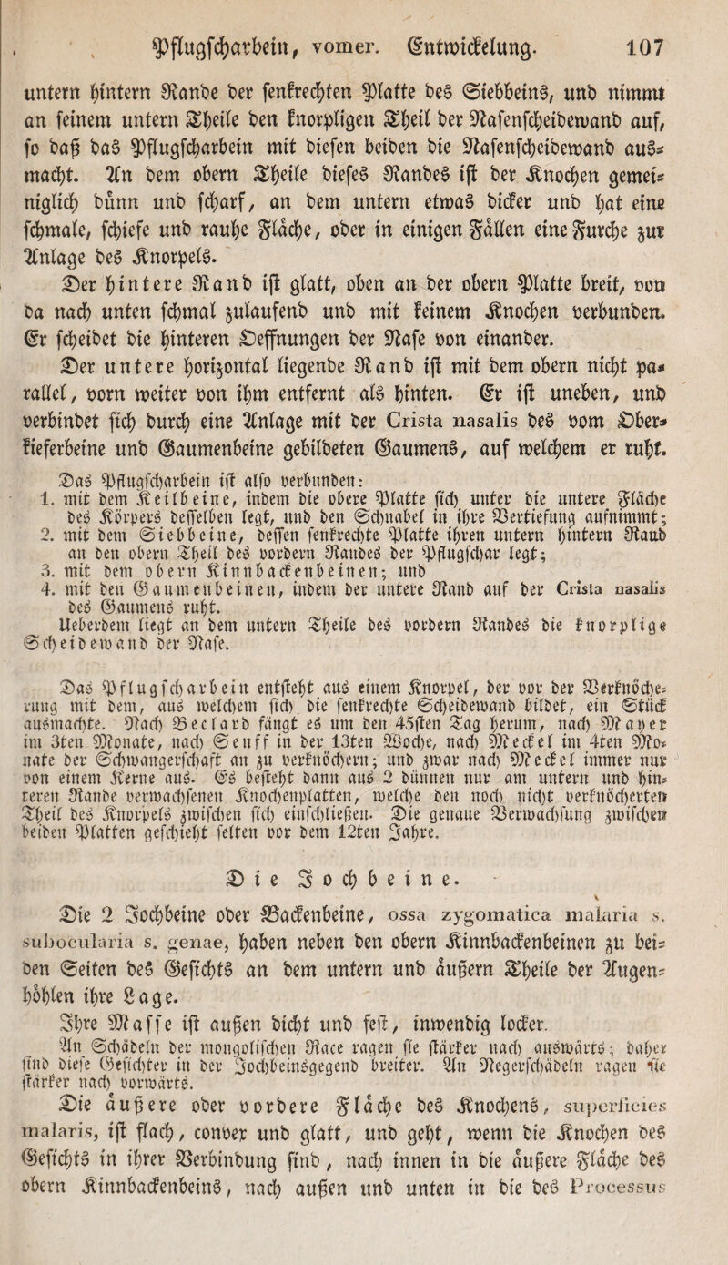 untern b^tern Olanbe ber fenfre^ten 9)tatte beä 0iebbein0, unb nimmt ön feinem untern S^b^ile ben fnorpligen ^b^it ber S^tafenfcbeibemanb auf, fo ba^ ba§ 9}flu9fd[)arbein mit biefen beiben bie Slafenfcbeibemanb auSs macht. 2(n bem obern biefe§ S^anbeS ift ber .^nod)en gemein niöUch bunn unb fc^arf, an bem untern etmaö bicfer unb hat einß fchmate, fd)iefe unb rauhe Sladf)e, ober in einigen Sollen einegur^e jur Tfnlage beS j;norpel6. £)er hintere 9ftanb ijl: glatt, oben an ber obern Patte breit, ooö ba nach nnten f^mal julaufenb unb mit feinem .Knochen oerbunben. ^r fcheibet bie hinteren £)effnungen ber S^afe oon einanber. ^er untere horizontal liegenbe S^tanb ij! mit bem obern nicht pa« raüel, oorn weiter oon ihm entfernt al6 hinten, ^r ijt uneben, unb oerbinbet ftch burch eine Tlnlage mit ber Crista nasalis be§ oom £)ber:» fieferbetne unb Gaumenbeine gebilbeten Gaumend, auf welchem er ruht. ^jTu9fd)ar6etn ift atfo rerhrnbeu: 1. mit bem ^eitbeine, inbem bie obere statte ftd) unter bie untere ^l^cbc beö ^örperö betreiben fegt, unb ben @cf)nabef in ihre 23ertiefnng anfnimmt; 2. mit bem ©iebbeine, betfen fenlrecf)te tbfatte ihren untern hmtern Staub an ben obern ^h^^if be^ oorbern Staubet ber ^flngfchar fegt; 3. mit bem obern ivinnbatfenbeinen; unb 4. mit ben @aumenbeinen, inbem ber untere Staub auf ber Crista nasalis beö ©aumen^ ruht. Ueberbem liegt an bem untern Z^txU beö oorbern Staubet bie tnorplig« 0 d) s i b e m vt n b ber Stafe. ®a^ ^flugfcharbein entfleht au^ einem Knorpel, ber oor ber 22erfnöd)e* rnng mit bem, au» mefd)em ftd) bie fenbred)te 0d)eibemanb bifbet, ein ©tutf an6mad)te. Stad) ^ ec färb fängt eö um ben 45flen ^ag h^onm, nad) S)taoep im 3ten S}tünate, nad) ©enff in ber 13ten SSoefje, nad) S^teefef im 4ten nate ber 0d)mangerfd)aft an zu oerfnöd)ern; unb zwar nad) S^teefef immer nur oon einem iverne au^. befteht bann au^ 2 bünnen nur am untern nnb hiu* teren Staube oermad)fenen jrnod)enp(atten, mefche ben nod) nid)t oerfnöd)erten ^$:heif be^ ivnorpeB zwifd)en ftd) einfd)liefen. 2)ie genaue ^ern)ad)rung zwifd)^» beiben S3fatten gefd)teht feften oor bem 12ten Sahor. ^ie Soi^beine. ;0te 2 Sod)beine ober ^atfenbeine, ossa zygomatica maiaria s. subocularia s, genae, hdbeu neben ben obern .^innbatfenbeinen jii beis oen ©eiten be5 Geflehte an bem untern unb andern ^hoilo ber ^ugen? hohlen ihre Sage. Shre ?[)taffe ift außen bi(^)t unb feji, inwenbig locler. ^\\ 0d)Qbe(n ber mongofifchen Stace ragen fte ftürter nad) au^mäit^; baher unb biefe ©cfid)ter in ber 3ocf)bein^gegenb breiter. 2fn Stegerfd)äbefn ragen fte frärfer nad)^ oormärtö. ^ie äußere ober oorbere §lad()e beS .^nochenö, sii])erlicie.s’ rnalaris, ift flach, conoep unb glatt, unb geht, wenn bie .Knochen be^ Geflehte in ihrer SSerbinbung ftnb, nad) innen in bie äußere gldche beg obern .Etnnbacfenbeinö, nach dußen unb unten in bie beö Processus