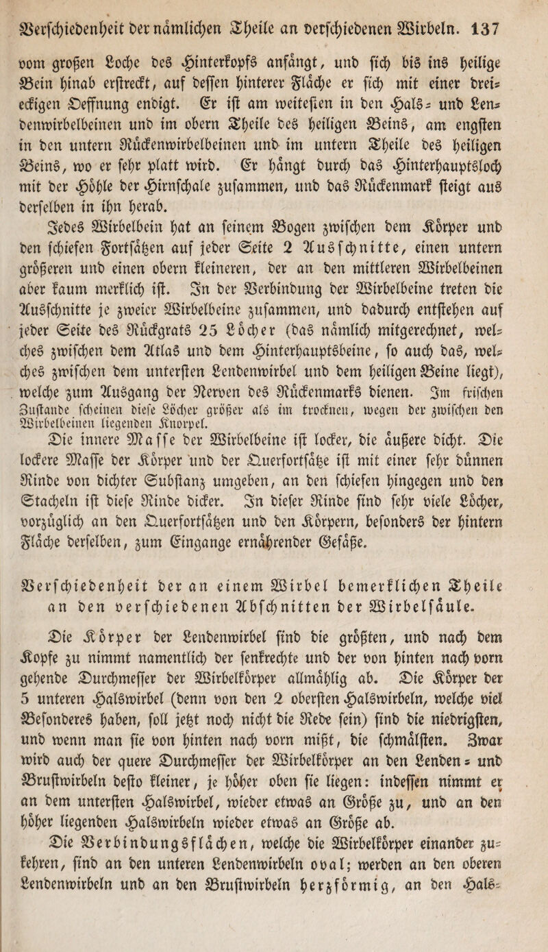 « SSerfc^ieben^jeit t)erndmlid)en ^{;eUe an t)etfc^iebenen SÖkbeln. 137 i?üm großen ßocbe beS ^interfo^f^ anfdngt, unb ftd) H§ tnö billige S5etn btnab erßre^t, auf beffcn hinterer gtdche er ftch niit einer breis edigen ^effnung enbigt. ©r ijt am meitefien in ben ^aU:: unb ßen^ benvoirbelbeinen unb im obern be§ h^ibg^n S5ein§, am engften in ben untern OtMenmirbetbeinen unb im untern h^ütg^n S5eing, mo er febr platt mirb. dv hangt burch ba§ ^interhauptStoch mit ber ^bf)le ber tg)irnfchale jufammen, unb ba6 IRMenmarf fieigt aug berfelben in ihn h^tab. Sebeg ^irbelbein hnt an feinem IBogen jmifchen bem Körper unb ben fchtefen gortfd^en auf jeber «Seite 2 2tugfchnitte, einen untern größeren unb einen obern fleineren, ber an ben mittleren SBirbelbeinen aber faum mcrfltch ijl. Sn ber SSerbinbung ber 2Birbelbeine treten bie 2(ugfchmtte j[e gmeicr Sßirbelbeine jufammen, unb baburch entgehen auf • jeber Seite beg 9tü(fgratg 25 ßbd)er (baS ndmlidb mitgerechnet, mels cheg gmifchen bem 2(tlag unb bem »g)interhauptgbeine, fo au(^ bag, wuh d)eg jmifchen bem unterßen S^enbenmirbel unb bem h^ilig^tt Steine liegt), welche ^um Tluggang ber S^leroen beg 0tü(fenmarfg bienen. 3m frtfd)en Bußaube fcl)e{nen biefe 2üd)ei* örö^er nU im troctneu, megen ber ^toifchen ben ^ivbelbeinen Uegenben jtnorpet. ^ie innere 9}taffe ber SBirbelbeine iß lo(fer, bie äußere bid[)t. ^ie lo(fere 50taße ber Körper unb ber £luerfortfdhe iß mit einer fehr bunnen 0fitnbe oon bidjter Subßanj umgeben, an ben fchiefen hingegen unb ben Stacheln iß biefe 0ftinbe bite. Sn biefer Otinbe ßnb fehr oiele ßbcher, r)or§üglid) an ben ^uerfortfd^en unb ben Körpern, befonberg ber hintern gld(^e berfelben, §um Eingänge erndhrenber ©efdße. SSerfchiebenheit ber an einem Sßirbel bemerblichen S^heil^ an ben oerfdbiebenen 2Cbfdl)nitten ber Sßirbelfdule. £)ie ,^brper ber Senbenwirbel finb bie größten, unb nach bem .Äopfe gu nimmt namentlich ber fenfrechte unb ber oon hinten nach oorn gehenbe ^urchmeßer ber Sßirbelforper allmdhlig ab. £>ie .Körper ber 5 unteren ^aigwirbel (benn oon ben 2 oberßen ^aigwirbeln, welche oiel S5efonbereg hnben, foU jefet noch nicht bie 0?eb^ fein) ßnb bie niebrigßen, unb wenn man ße oon hinten nach norn mißt, bie fdbmdlßen. 3war wirb aud) ber quere £)urd)meßer ber SEirbelforper an ben ßenben s unb S5rußwirbeln beßo fleiner, je hoh^r oben ße liegen: inbeßen nimmt er an bem unterßen ^algwirbel, wieber etwag an @r6ße §u, unb an ben hoher liegenben »g)aigwirbeln wieber etwag an (große ab. £)ie SSerbinbunggfldchen, welche bie 2ßirbeltörper einanber §u^ fehren, ßnb an ben unteren ßenbenwirbeln ooal; werben an ben oberen ßenbenwirbeln unb an ben SSrußwirbeln h^r^formig, an ben .^aig'-