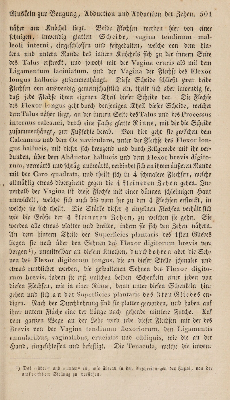 naf)er om ^n6d)cl (iegf. ^ci'be g(ec!;feii \Derben \)kv v>on einet febnigeU/ inwenbig glatten ©d^eibe, vagina lendlnum inal- leoli interni, eingefd)loffeu unb fejlgel)alten, n)eld;e t)on bem lf)in5 tern unb untern ^anW be§ innern ^nocbeB ftd) 51t bet innern ©eite be§ Talus erflredt, unb foft)ol)l mit bet Vagina crnris als mit bem Ligamentum laciniatum, unb bet Vagina bet Slecbfe beS Flexor longus hallucis jufammenl)angt. :^iefe ©d;eibe fd)lteft ^mar beibe gledi)fen t)on auSmenbtg gemeinfcbaftlid) ein, tbeilt [td; abet tnmenbig ba^ jebc Slei^fe ibten eigenen S^beil biefet ©d)etbe l;at. ^ie S^ecbfe beS Flexor longus geljt butcb beiijenigen biefet ©d)eibe, melcbet bem Talus nabet liegt, an bet innern ©eite beS Talus unb beS Processus internus calcanei, butd) eine flacbe glatte Sflinne, mit bet bie ©cbeibe 5ufammenbangt^ §ut gupfoble b^tab. fßon bi^^ Ö^bt fie gwifcben bem Calcaneus unb bem Os naviculare, unter bet Sl^d)fe beS Flexor lon¬ gus hallucis, mit biefet ficb fteujenb unb butd) 3ellgemebe mit ibt bunben, übet bem Abductor, hallucis unb bem Flexor brevis digito- riun, üormdttS unb fd)rdg auSmdrtS,t)etbinbetftcb anibtem duperen Stanbc mit bet Caro quadrata, unb tl)dlt ftd) in 4 fcbmalete glecbfen, melcbe allmdblig etmaS bioergirenb gegen bie 4 fleineten 3eben geben. Sns nerbalb bet Vagina ifl biefe glecbfe mit einet bunnen fd)leimigen ^aut ummidelt, n)eld)e ftd) and) bis t>otn 't)n ju ben 4 glecbfen erflrecft, in melcbe fte ftd) tbeilt. 2)ie ©tdrfe biefet 4 einzelnen glecbfen mbdlt ft'd) U)ie bie ®rope bet 4 Heineren Beben, ju meld)en fie gehn, ©ie^ merben alle etmaS platter unb breitet, tnbem fie ftcb ben Beben ndbern. 2{n bem bi^tetn Sbeile bet Superficies plantaris beS Ijlen ©liebeS liegen fie nod) über ben ©ebnen beS Flexor digitorum hrevis t)ets borgen^), unmittelbar an biefem Jtnüd)en, butd)bobyen aber bie ©eb¬ nen beS Flexor digitorum longus, bie an biefet ©teile fcbmalet unb ctmaS ntnblid)et werben, bie gefpaltenen ©ebnen beS Flexor digito¬ rum brevis, tnbem fie etji ^n)ifd)en beiben ©cbenfeln einet jeben V)on biefen Slecbfcn, wie in einer Ölinne, bann unter bicfen ©d)cnfeln b^s geben unb ftcb nn ber Superficies plantaris beS 3ten©liebeS m- bigen. S^acb bet £»urcbbobrung ftnb fte platter geworben, unb b^^ben auf ibrer untern gldcbe eine bet 2dnge nach gcbcnbe mittlere gurcbe. 2Cuf bem ganzen SBege an bet Bebe wirb jebe biefet 'Slcd)fen mit bet beS Brevis bon bet Vagina tendinum hexoriorum, ben Ligainentis annularibus, vaginalibus, crucialis unb obliqiiis, wie bie an bet ^anb, eingefd)loffcn unb befefligt. £)ie Tenacula, welche bie inweu^ »üDev« imb »unter« ijl:, wie ü&eratt in öen ^efctireiOungen beö Sußcß, üon bcr aufrecf)ten ©tcttimg ju öertle^en.