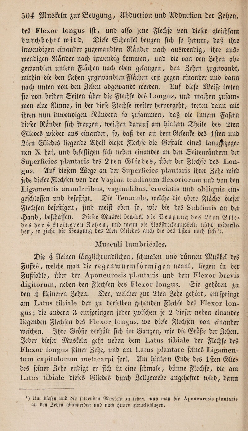 t)e6 Flexor longiis ift, unb nlfo jene glec^fe non tiefer gleicbfam burd)bobi^t iuirb. £)i'efc 0cben!el 6eugen ficb fo herum, bap ihre inmenbtgen einanber jugemanbten Olanber nach nugmenbig, ihre augs menbigen 0^anber nach inmenbig fommen, unb bie non ben Sehen ahs gemanbten untern S^äch^n nach oben gelangen, ben Sehen jugemanbt, mithin bie ben Sehen jugemanbten giad)en erjt gegen einanber unb bann nach unten non ben Sehen abgemanbt werben. 3tuf tiefe ^eife treten fie non beiten Seiten über bie glechfe beg Longns, unb mailen §ufam= men eine 0tinne, in ber tiefe glechfe weiter hernorgeht, treten bann mit ihren nun inwenbigen Otanbern fo jufammen, bap bie innern gafern tiefer 0ftanber fid) freuten, weichen barauf am hintern ^heüe beg 2ten ©liebeg wieber aug einanber, fo, bap ber an bem®e(en!e beg Ijlen unb 2ten ©liebeg tiegenbe Sl^h^d tiefer gtechfe bie ©epalt eineg lang^^oge^ neu X hat, unb befeftigen ftc!) neben einanber an ben 0ettenranbern ber Superficies plantaris beg 2ten ©liebeg. Über ber Slechfe beg Lon- gus. 2tuf tiefem SBege an ber Superficies plantaris ihrer Seh^ wirb jebe tiefer Slechfen non ber Vagina tendinum flexoriorum unb non ben Ligamentis annularibus, vaginalibiis, cruciatis unb obliquis eins gefchloffen unb befepigt. £)ie Tenacula, welche bie obere glache tiefer glechfen befepigen, ftnb meip eben fo, wie bie beg Sublimis an ber *^anb, befchapen. tiefer kmirft bie 33eugung beg 2ten ©lies beg ber 4 fletneren Sehen, unb wenn bie ^Ingftrectemugteln iiid)t wiberftes hen, fo sieht bie 33eupng beg 2ten ©debeg and) bie beg Ijlen nad) fid)^). Musculi lumbricales. ^ie 4 fleinen langlid;runblid)en, fchmalen unb bünnen ^tigfel beg Snpeg, weld)e man bie regenwurmförmigen nennt, liegen in ber ^Upfolpe, über ber Aponeurosis plantaris unb bem Flexor Lrevis cligitorum, neben ben Sl^d)fen beg Flexor longus. ©ie gehören ju ben 4 fleincren Sehen, ^er, weld)er ptr 2ten Sehe gehört, entf^ringt am Latus tiLiale ber berfelben geheuten glechfe beg Flexor lon¬ gus ; bie anbern 3 entfpringen jeber ^wifchen je 2 tiefer neben einanber liegenben Slechfcn beg Flexor longus, wo tiefe ^lechfen non einanber weichen. Sh^^^ ©rope nerhalt pch im ©anpn, wie bie ©rope ber Sehen. Seber tiefer 9}tugfeln geht neben bem Latus tibiale ber Sled}fe beg Flexor longus feiner Sehe, unb am Latus plantare feineg Ligamen¬ tum capitulorum meiacarpi fort. 2fm hintern ©Ute beg Ipen ©lies beg feiner Sehe enbigt er pch in eine Phmale, bünne Sled)fe, bie am Latus tibiale biefeg ©liebeg burch Sellgewebe angeheftet wirb, bann Um biefeit unb bte felgcnbctt COZuöfdn ju (e{)cn, mu§ matt bie Aponeurosis plantaris an ben Bc^jen abfrttnciöcn nnb nadf) buttert juruefietttagen.