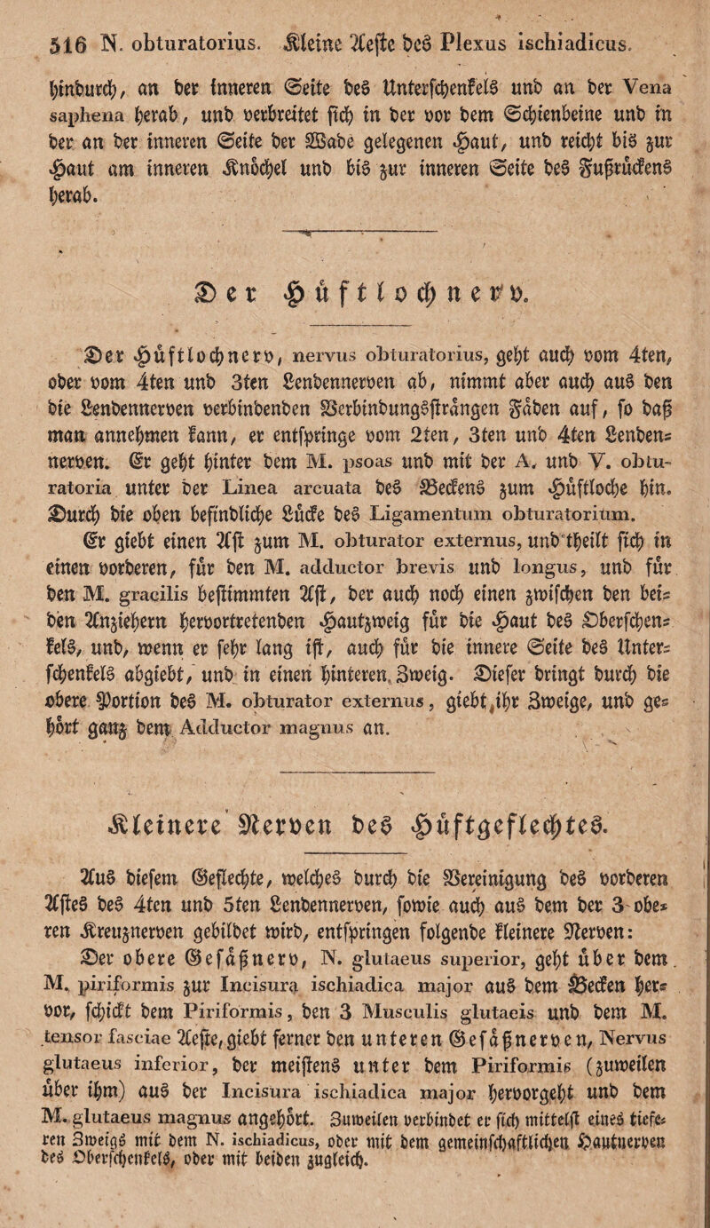 bmhurcb, an ber Inneren ©eite be$ ttnterfcbenfeis unb an ber Vena saphena berab, unb verbreitet ftdb in ber vor bem ©cbienbeine unb m ber an ber inneren ©eite ber SSabe gelegenen $aut, unb reicht bis pr $aut am inneren Knöchel unb bis pr inneren ©eite beS SupruefenS berab. ©er ©er ^üftlocbnerv, nervus obturatorius, gebt aud[> vom 4ten, ober vom 4ten unb 3ten ßenbennerven ab, nimmt aber auch auS ben bie Senbennerven verbinbenben BerbinbungSjirangen gaben auf, fo bag man annebmen fann, er entfpringe vom 2ten, 3ten unb 4ten Senbens nerven. (Sr gebt hinter bem M. psoas unb mit ber A, unb V. ob tu« ratoria unter ber Linea arcuata beS S3eden§ pm «^üftlodbe bin« ©UN# bie oben beftnblicbe Sude beS Ligamentum obturatoritim. @r giebt einen pm M. obturator externus, unb tbeilt fi<# in einen votberen, für ben M. adductor brevis unb longus, unb für ben M. gracilis befiimmten 2£jl, ber audb noch einen jtvifcben ben beis ben 2Cnpbern b^rvortretenben ^autjmeig für bie $aut beS ©berfcben* fel§, unb, wenn er febr lang tjf, auch für bie innere ©eite be§ Unters fcbenfelS abgtebt/ unbin einen bitteren 3roeig. tiefer bringt burdb bie obere Portion beS M. obturator externus, giebt#ibr Smeige, unb ge« bbrt gan§ bem Adductor magnus an. •. * .t ■' Ätcinere Stemn t>e§ 2fu$ biefem ©eflecbte, tvelcbe$ burdb bie Bereinigung be§ vorbeten f 2CjtcS beS 4tcn unb 5ten Senbennerven, fotvie audb <*u§ bem ber 3obe* ren ibrettperven gebilbet mtrb, entfpringen folgenbe Heinere Nerven: ©er obere ©efafinerv, N. glutaeus superior, gebt über bem. M. piriformis pr Incisura ischiadica major au§ bem Sjeden tylc vor, fcbidt bem Piriformis, ben 3 Museulis glutaeis unb bem M. tensor faseiae 2Cejre, giebt ferner ben unteren ©efaßnerven, Nervus glutaeus inferior, ber meiftenS unter bem Piriformis (proeilen über ibm) au§ ber Incisura ischiadica major b^rvorgebt unb bem M. glutaeus magnus angebort. Sumeiten oerbinbet er ftcf) mitteljt etneö tiefe ren 3metg£ mit bem N. ischiadicus, ober mit bem gemeinfdjaftlidjen £>autuemu beö £>berfcbenf’e$, ober mit beiben pgleidj.