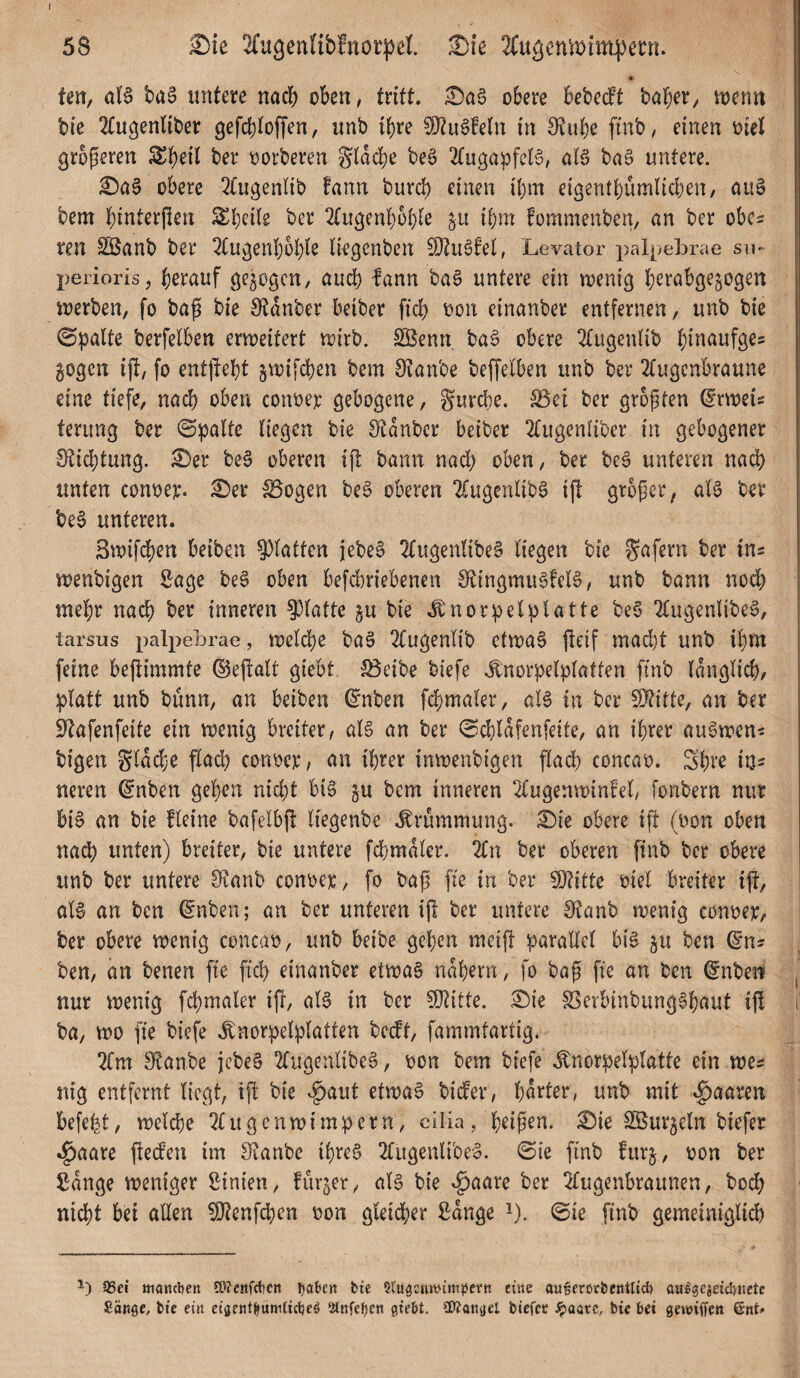 I 58 Sie Sfugenlibfnotpel Sie 2(itäenmiin|)eni. ten, al6 ba6 lintere nacf) oben, tritt, £ia§ obere bebedPt ba^er, toerm bie 2£ugennber gefcbioffen, unb {()re ^u§Mn in 0f?ul)e fmb, einen oiel größeren ber oorberen Si^dje beß Ttugapfdß, alß baß untere. Sa§ obere 2(ugennb fann burd) einen ibm eigentbümlicben/ aii§ bem binterßen Sl^beitg ber 2(iigenl()6()(e ibm fommenben, an ber obcs ren SÖanb ber 2(itgenl)übie liegcnben ^u6fet, Levator palpebrae su- perioris, aucb lann ba6 untere ein loenig b^^^bgejogen ioerben, fo baß bie 0^dnber beiber ficb oon einanber entfernen, unb bie ©|3alte berfelben erioeitert roirb. SBenn. ba§ obere ^tugentib gegen ift, fo ent|lebt gvotfeben bem 9^anbe beffelben unb ber 2(ugcnbraune eine tiefe, nach oben conoer gebogene, gurebe. S5ct ber größten ^rmeis terung ber ©patte liegen bie ^Rdnbcr beiber 2tugentiber in gebogener lEicbtung. Ser be§ oberen ift bann nad; oben, ber be6 unteren na^ unten conoe?:. Ser S5ogen beS oberen 2Cugentib0 ijl großer, at6 ber be6 unteren. 3mifdben beiben 9)lattcn jebe§ 2(ugentibe§ liegen bie in- menbigen Sage be^ oben befd)riebenen IRingmu§!el§, unb bann nod) mel)r nadb ber inneren 5)latte gu bie .ftnorpelplatte be6 2Cugenlibe6, tarsus palpebrae, mclcbe ba§ 2Cugenlib ctmaS fleif mad)t unb i!^m feine beflimmte ©ejlalt giebt. föeibe biefe ^norpelplatten finb Idnglicl)/ platt unb bünn, an beiben (^nben fcl^maler, al6 in ber 9}titte, an ber iltafenfeite ein roenig breiter, al6 an ber ©cbldfenfeite, an ihrer auömen^ bigen glddje flacp conocr, an ihrer imoenbigen flad) concao. Shre in- neren ^nben gehen nicht big gu bem inneren 2lugenmin!el, fonbern nur bi§ an bie fleine bafelbjl liegenbe J:rümmung. Sie obere ift (oon oben nad) unten) breiter, bie untere fchmdler. 2Cn ber oberen finb ber obere unb ber untere 9f?anb conoer, [o baß fte in ber SJtitte oiel breiter ift, al§ an ben ^nben; an ber unteren ifl ber untere Dtanb wenig conoer, ber obere wenig concao, unb beibe gehen meift parallel big gu ben (5*n? ben, an benen fte ftd) einanber etwas nahem, fo baß fie an ben ©nben nur wenig fchmaler ifi, alS in ber 50^itte. Sie SSerbinbungShaut ifl ba, wo fie biefe .^norpelplatten bedt, fammtartig, 2(m 9?anbe jebeS 2lugenlibeg, oon bem biefe .^norpelplatte ein we^ nig entfernt liegt, ijl bie ^aut etwas bider, harter, unb mit »giaaren befeht, welche 21 u gen Wimpern, cilia , h^if^n. Sie SBurgeln biefer *^aare flecfen im 9^anbe ihres 2lugenlibeS. ©ie finb fiirg, oon ber Sdnge weniger Sinien, fürger, als bie ^aare ber 2bugenbraunen, hoch nicht bei allen ^enfehen oon gleicher Sdnge i). ©ie finb gemeiniglid) Q5ei öiancljett ?0?cttfct)cn ija&en bte ^Cugcntt-ntn^Jern eine ou^ererbenttid) aulgejeiclfitcte Sange, bie ein cigentl»«nitid}c4 Crtnfefjcn gte&t. SOtangcl biefee .'^acre, bte bet getniffen 6nt>-