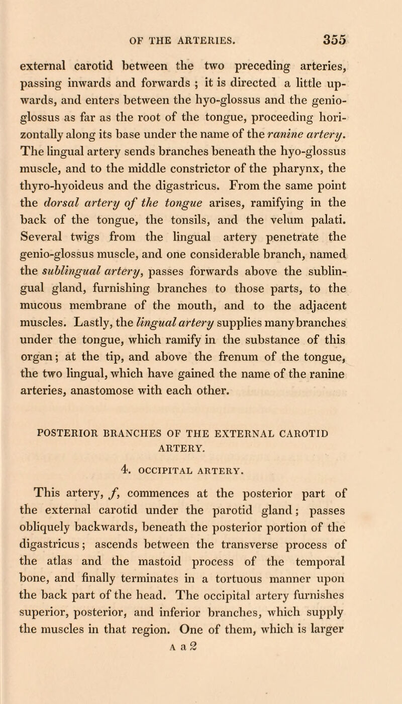 external carotid between the two preceding arteries, passing inwards and forwards ; it is directed a little up¬ wards, and enters between the hyo-glossus and the genio- glossus as far as the root of the tongue, proceeding hori¬ zontally along its base under the name of the ranine artery. The lingual artery sends branches beneath the hyo-glossus muscle, and to the middle constrictor of the pharynx, the thyro-hyoideus and the digastricus. From the same point the dorsal artery of the tongue arises, ramifying in the back of the tongue, the tonsils, and the velum palati. Several twigs from the lingual artery penetrate the genio-glossus muscle, and one considerable branch, named the sublingual artery, passes forwards above the sublin¬ gual gland, furnishing branches to those parts, to the mucous membrane of the mouth, and to the adjacent muscles. Lastly, the lingual artery supplies many branches under the tongue, which ramify in the substance of this organ; at the tip, and above the frenum of the tongue, the two lingual, which have gained the name of the ranine arteries, anastomose with each other. POSTERIOR BRANCHES OF THE EXTERNAL CAROTID ARTERY. 4. OCCIPITAL ARTERY. This artery, f, commences at the posterior part of the external carotid under the parotid gland; passes obliquely backwards, beneath the posterior portion of the digastricus; ascends between the transverse process of the atlas and the mastoid process of the temporal bone, and finally terminates in a tortuous manner upon the back part of the head. The occipital artery furnishes superior, posterior, and inferior branches, which supply the muscles in that region. One of them, which is larger A a 2