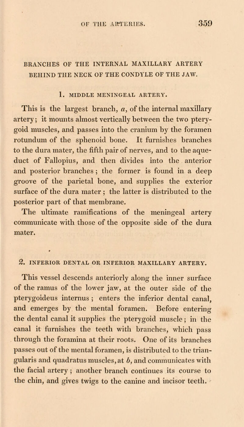 BRANCHES OF THE INTERNAL MAXILLARY ARTERY BEHIND THE NECK OF THE CONDYLE OF THE JAW. 1. MIDDLE MENINGEAL ARTERY. This is the largest branch, a, of the internal maxillary artery; it mounts almost vertically between the two ptery¬ goid muscles, and passes into the cranium by the foramen rotundum of the sphenoid bone. It furnishes branches to the dura mater, the fifth pair of nerves, and to the aque¬ duct of Fallopius, and then divides into the anterior and posterior branches ; the former is found in a deep groove of the parietal bone, and supplies the exterior surface of the dura mater ; the latter is distributed to the posterior part of that membrane. The ultimate ramifications of the meningeal artery communicate with those of the opposite side of the dura mater. 2. INFERIOR DENTAL OR INFERIOR MAXILLARY ARTERY. This vessel descends antei’iorly along the inner surface of the ramus of the lower jaw, at the outer side of the pterygoideus internus ; enters the inferior dental canal, and emerges by the mental foramen. Before entering the dental canal it supplies the pterygoid muscle; in the canal it furnishes the teeth with branches, which pass through the foramina at their roots. One of its branches passes out of the mental foramen, is distributed to the trian¬ gularis and quadratus muscles, at b, and communicates with the facial artery ; another branch continues its course to the chin, and gives twigs to the canine and incisor teeth.
