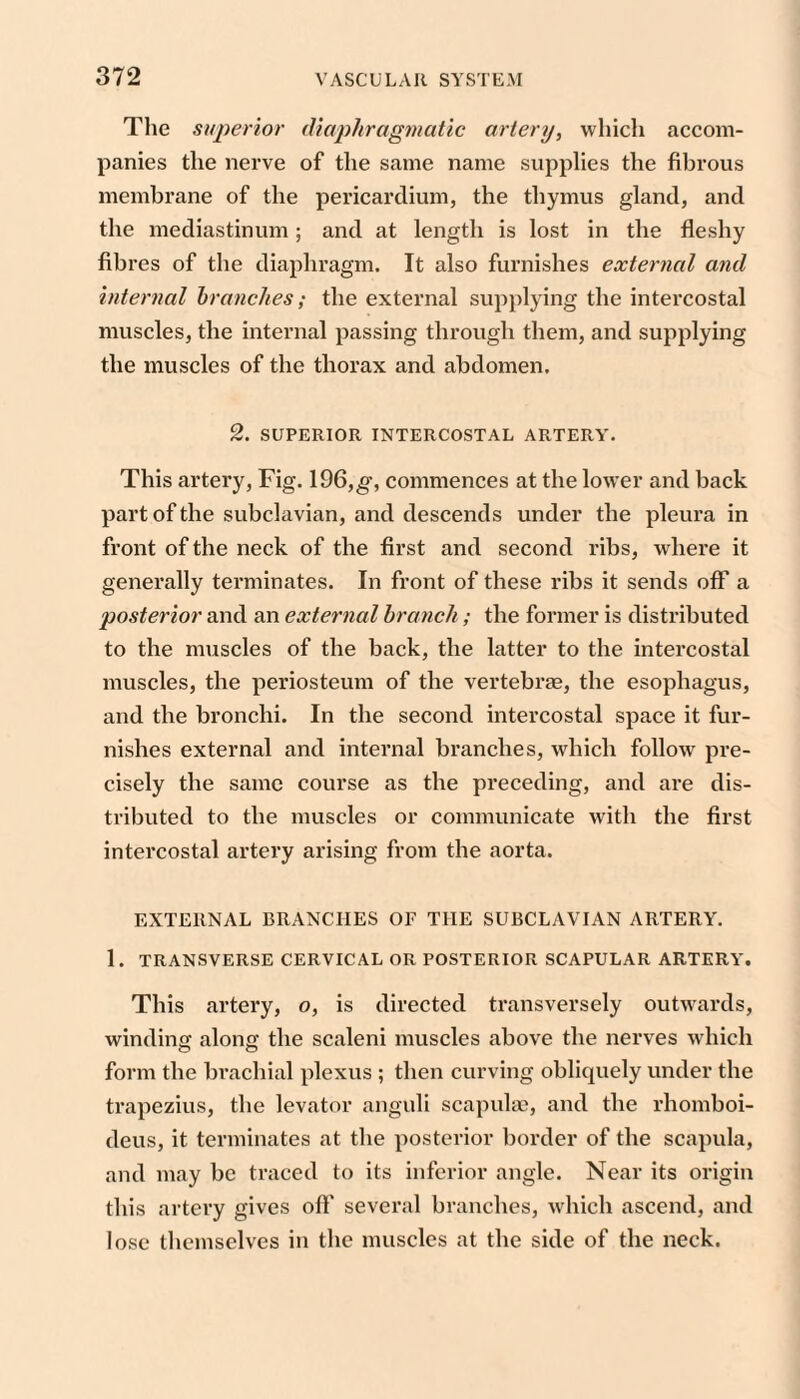 The superior iliaphragmatic artery, which accom¬ panies the nerve of the same name supplies the fibrous membrane of the pericardium, the thymus gland, and the mediastinum; and at length is lost in the fleshy fibres of the diaphragm. It also furnishes external and internal hranclies; the external supplying the intercostal muscles, the internal passing through them, and supplying the muscles of the thorax and abdomen. 2. SUPERIOR INTERCOSTAL ARTERY. This artery. Fig. 196,g’, commences at the lower and back part of the subclavian, and descends under the pleura in front of the neck of the first and second ribs, where it generally terminates. In front of these ribs it sends off a posterior and an external hranch; the former is distributed to the muscles of the back, the latter to the intercostal muscles, the periosteum of the vertebrae, the esophagus, and the bronchi. In the second intercostal space it fur¬ nishes external and internal branches, which folloAv pre¬ cisely the same course as the preceding, and are dis¬ tributed to the muscles or communicate with the first intercostal artery arising from the aorta. EXTERNAL BRANCHES OF THE SUBCLAVIAN ARTERY. 1. TRANSVERSE CERVICAL OR POSTERIOR SCAPULAR ARTERY. This artery, o, is directed transversely outwards, winding along the scaleni muscles above the nerves which form the brachial plexus ; then curving obliquely under the trapezius, the levator anguli scapuhc, and the rhomboi- deus, it terminates at the posterior border of the scapula, and may be traced to its inferior angle. Near its origin this artery gives oft' several branches, which ascend, and lose themselves in the muscles at the side of the neck.