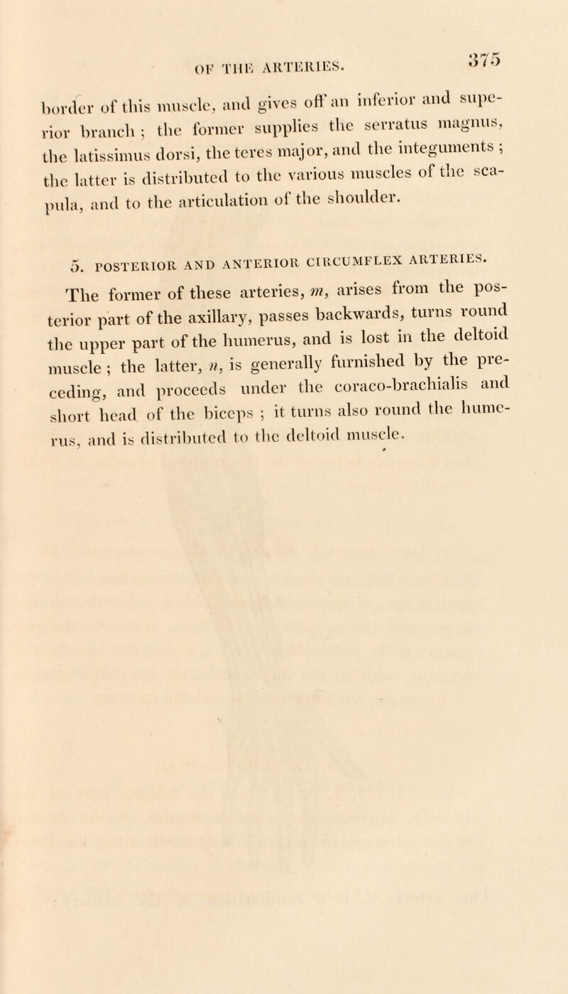 Ol’ 'I'lll'; ARTKKir-S. :>75 horder of this inuselo, and gives off an inferior and supe¬ rior brancli ; the former supplies the serratus magnus, the latissimus dorsi, the teres major, and the integuments ; the latter is distributed to the various muscles of the sca¬ pula, and to the articulation of the shoulder. 5. POSTERIOR AND ANTERIOR CIRCUMFLEX ARTERIES. The former of these arteries, m, arises trom the pos¬ terior part of the axillary, passes backwards, turns round the upper part of the humerus, and is lost in the deltoid muscle; the latter, n, is generally furnished by the pre¬ ceding, and proceeds under the coraco-brachialis and short\ead of the biceps ; it turns also round the hume¬ rus, and is distributed to the deltoid muscle.