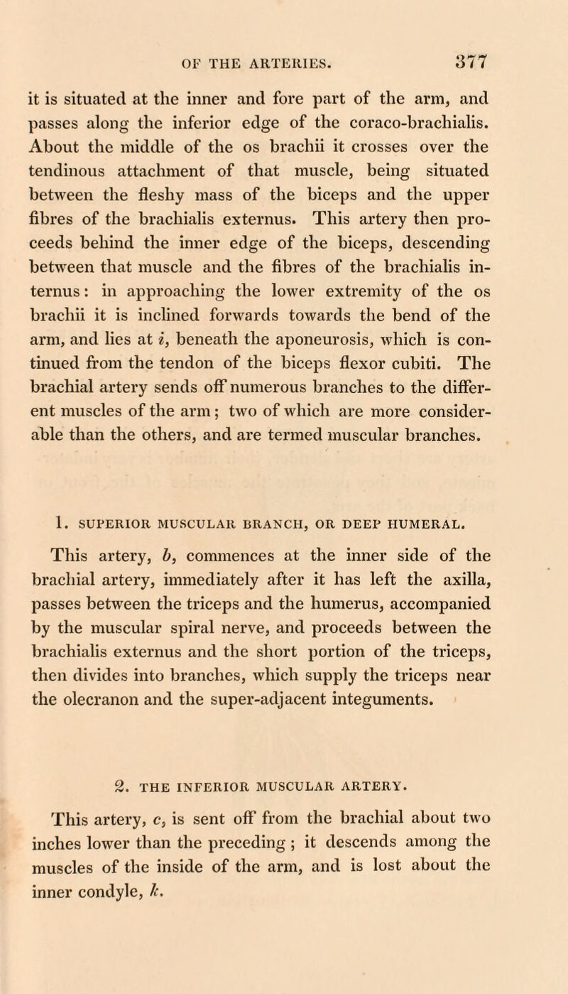 it is situated at the inner and fore part of the arm, and passes along the inferior edge of the coraco-brachialis. About the middle of the os brachii it crosses over the tendinous attachment of that muscle, being situated between the fleshy mass of the biceps and the upper fibres of the brachialis externus. This artery then pro¬ ceeds behind the inner edge of the biceps, descending between that muscle and the fibres of the brachialis in- ternus: in approaching the lower extremity of the os brachii it is inclined forwards towards the bend of the arm, and lies at i, beneath the aponeurosis, which is con¬ tinued from the tendon of the biceps flexor cubiti. The brachial artery sends off numerous branches to the differ¬ ent muscles of the arm; two of which are more consider¬ able than the others, and are termed muscular branches. 1. SUPERIOR MUSCULAR BRANCH, OR DEEP HUMERAL. This artery, b, commences at the inner side of the brachial artery, immediately after it has left the axilla, passes between the triceps and the humerus, accompanied by the muscular spiral nerve, and proceeds between the brachialis externus and the short portion of the triceps, then divides into branches, which supply the triceps near the olecranon and the super-adjacent integuments. 2. THE INFERIOR MUSCULAR ARTERY. This artery, c, is sent off from the brachial about two inches lower than the preceding ; it descends among the muscles of the inside of the arm, and is lost about the inner condyle, k.