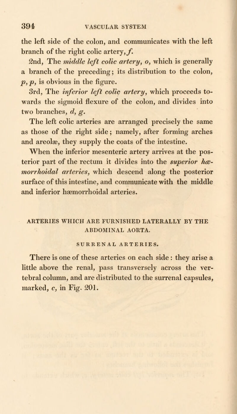 the left side of the colon, and communicates with the left branch of the right colic artery,yi 2nd, The middle left colic artery, o, which is generally a branch of the preceding; its distribution to the colon, p, p, is obvious in the figure. 3rd, The inferior left colic artery, which proceeds to¬ wards the sigmoid flexure of the colon, and divides into two branches, d, g. The left colic arteries are arranged precisely the same as those of the right side; namely, after forming arches and areolae, they supply the coats of the intestine. When the inferior mesenteric artery arrives at the pos¬ terior part of the rectum it divides into the superior hce- morrlioidal arteries, which descend along the posterior surface of this intestine, and communicate with the middle and inferior hasmorrhoidal arteries. ARTERIES WHICH ARE FURNISHED LATERALLY BY THE ABDOMINAL AORTA. SURRENAL ARTERIES. There is one of these arteries on each side : they arise a little above the renal, pass transversely across the ver¬ tebral column, and are distributed to the surrenal capsules, marked, c, in Fig. 201.