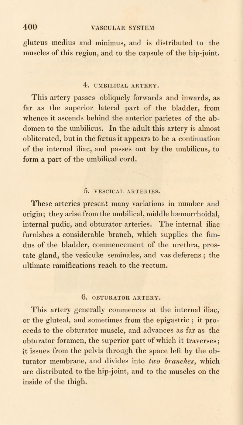 gluteus uieclius and minimus, and is distributed to tlie muscles of this region, and to the capsule of the hip-joint. 4. UMBILICAL ARTERY. This artery passes obliquely forwards and inwards, as far as the superior lateral part of the bladder, from whence it ascends behind the anterior parietes of the ab¬ domen to the umbilicus. In the adult this artery is almost obliterated, but in the foetus it appears to be a continuation of the internal iliac, and passes out by the umbilicus, to form a part of the umbilical cord. 5. VESCTCAL ARTERIES. These arteries present many variations in number and origin; they arise from the umbilical, middle hasmorrhoidal, internal pudic, and obturator arteries. The internal iliac furnishes a considerable branch, which supplies the fun¬ dus of the bladder, commencement of the urethra, pros¬ tate gland, the vesiculae seminales, and vas deferens ; the ultimate I’amifications reach to the rectum. 6. OBTURATOR ARTERY. This artery generally commences at the internal iliac, or the gluteal, and sometimes from the epigastric ; it pro¬ ceeds to the obturator muscle, and advances as far as the obtui’ator foramen, the superior part of which it traverses; it issues from the pelvis through the space left by the ob¬ turator membrane, and divides into two branches, which are distributed to the hip-joint, and to the muscles on the inside of the thigh.