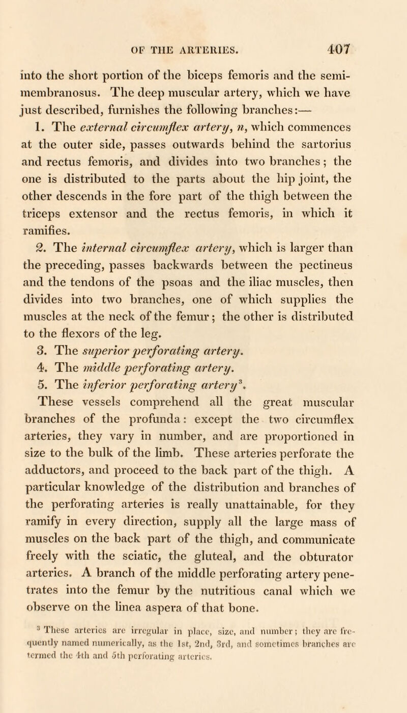 into the short portion of the biceps femoris and the semi¬ membranosus. The deep muscular artery, which we have just described, furnishes the following branches:— 1. The external eirctonjiex artery, n, which commences at the outer side, passes outwards behind the sartorius and rectus femoris, and divides into two branches; the one is distributed to the parts about the hip joint, the other descends in the fore part of the thigh between the triceps extensor and the rectus femoris, in which it ramifies. 2. The internal cireumflex artery, which is larger than the preceding, passes backwards between the pectineus and the tendons of the psoas and the iliac muscles, then divides into two branches, one of which supplies the muscles at the neck of the femur; the other is distributed to the flexors of the leg. 3. The superior perforating artery. 4. The middle perforating artery. 5. The inferior perforating artery^. These vessels comprehend all the great muscular branches of the profunda: except the two circumflex arteries, they vary in number, and are proportioned in size to the bulk of the limb. These arteries perforate the adductors, and proceed to the back part of the thigh. A particular knowledge of the distribution and branches of the perforating arteries is i-eally unattainable, for they ramify in every direction, supply all the large mass of muscles on the back part of the thigh, and communicate freely with the sciatic, the gluteal, and the obturator arteries. A branch of the middle perforating artex-y pene- ti’ates into the femur by the nuti’itious canal which we observe on the linea aspera of that bone. ® Tlicse arteries are irregular in place, size, and number; they are I'rc- quently named numerically, as the 1st, 2n(l, 3rd, and sometimes branclies are termed the 4th and 5th pcrl'orating arteries.