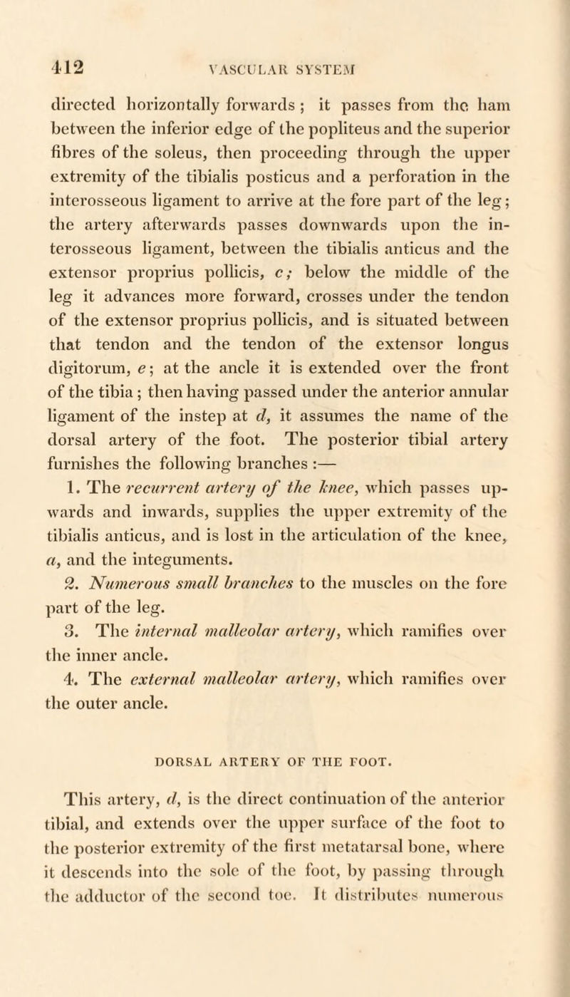 il2 directed horizontally forwards ; it passes from the, ham between the inferior edge of the popliteus and the superior fibres of the soleus, then proceeding through the upper extremity of the tibialis posticus and a perforation in the interosseous ligament to arrive at the fore part of the leg; the artery afterwards passes downwards upon the in¬ terosseous ligament, between the tibialis anticus and the extensor proprius pollicis, c; below the middle of the leg it advances more forward, crosses under the tendon of the extensor proprius pollicis, and is situated between that tendon and the tendon of the extensor longus digitorum, e; at the ancle it is extended over the front of the tibia ; then having passed under the anterior annular ligament of the instep at d, it assumes the name of the dorsal artery of the foot. The posterior tibial artery furnishes the following branches :— 1. The recurrent artery of the Jenee, which passes up¬ wards and inwards, supplies the upper extremity of the tibialis anticus, and is lost in the articulation of the knee, a, and the integuments. 2. Numerous small branches to the muscles on the fore part of the leg. 3. The internal malleolar artery, which ramifies over the inner ancle. 4. The external malleolar artery, which ramifies over the outer ancle. DORSAL ARTERY OF THE FOOT. This artery, d, is the direct continuation of the anterior tibial, and extends over the upper surface of the foot to the posterior extremity of the first metatarsal bone, where it descends into the sole of the foot, by passing through the adductor of the second toe. It distributes uumerous