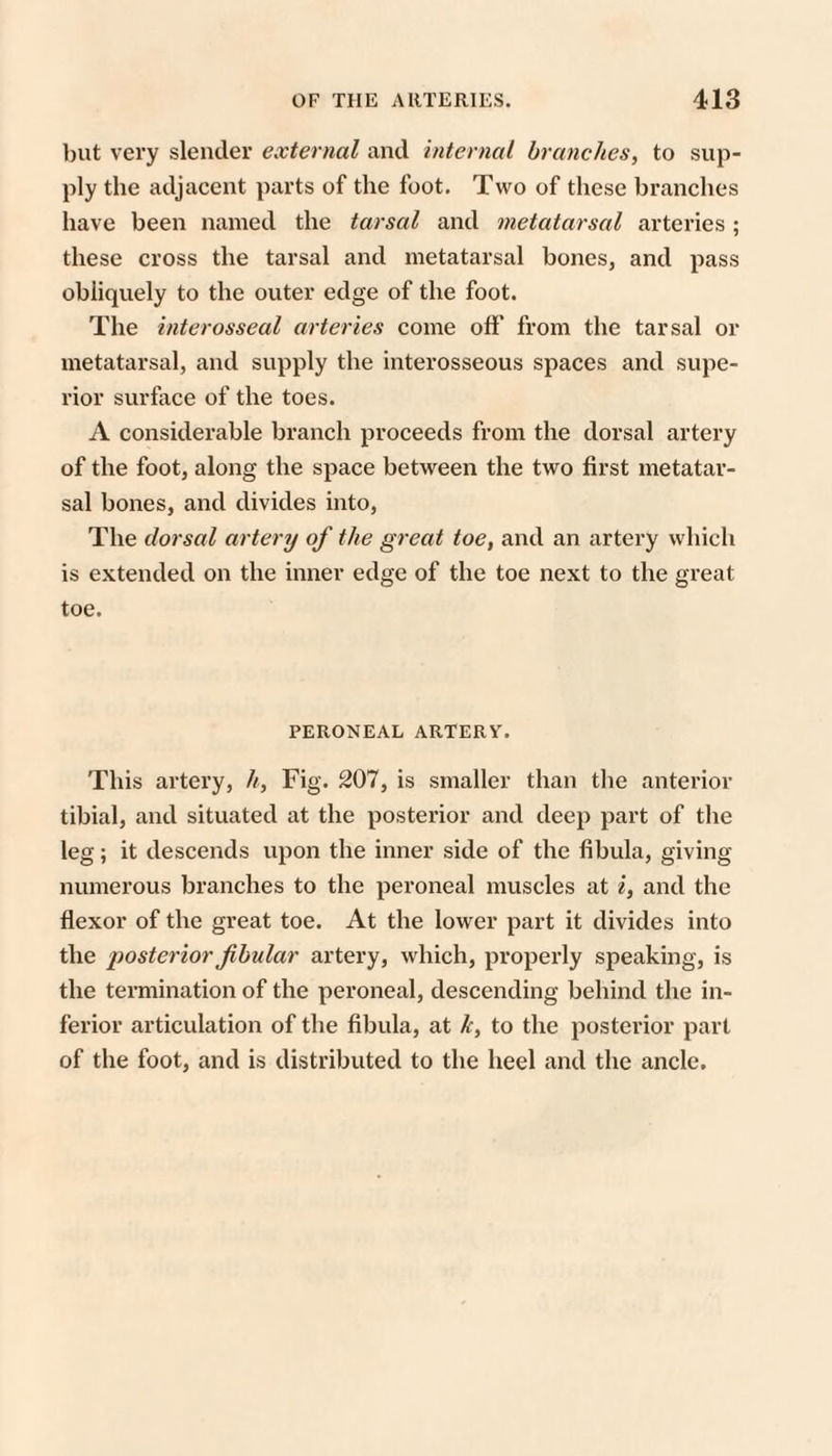 l)ut very slender external and internal branches, to sup¬ ply the adjacent parts of the foot. Two of these branches have been named the tarsal and metatarsal arteries ; these cross the tarsal and metatarsal bones, and pass obliquely to the outer edge of the foot. The interosseal arteries come olf from the tarsal or metatarsal, and supply the interosseous spaces and supe¬ rior surface of the toes. A considerable branch proceeds from the dorsal artery of the foot, along the space between the two first metatar¬ sal bones, and divides into. The dorsal artery of the great toe, and an artery which is extended on the inner edge of the toe next to the great toe. PERONEAL ARTERV. This artery, h. Fig. 207, is smaller than the anterior tibial, and situated at the posterior and deep part of the leg; it descends upon the inner side of the fibula, giving numerous branches to the peroneal muscles at i, and the flexor of the great toe. At the lower part it divides into the posterior fihular artery, which, properly speaking, is the termination of the peroneal, descending behind the in¬ ferior articulation of the fibula, at k, to the posterior part of the foot, and is distributed to the heel and the ancle.