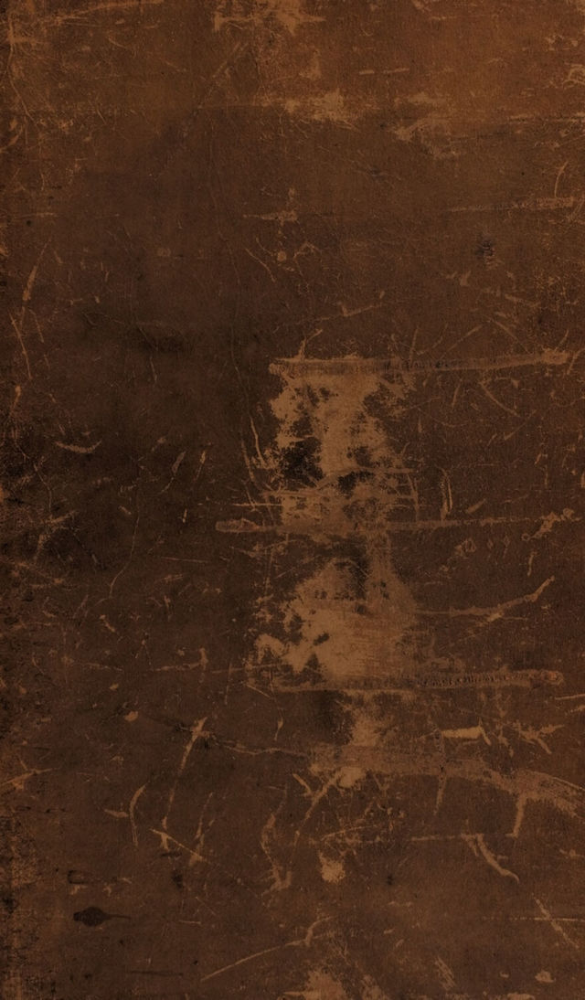 No text description is available for this image