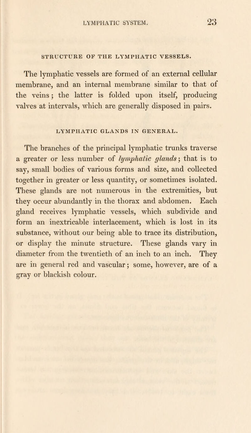 STRUCTURE OF THE LYMPHATIC VESSELS. The lymphatic vessels are formed of an external cellular membrane, and an internal membrane similar to that of the veins; the latter is folded upon itself, producing valves at intervals, which are generally disposed in pairs. LYMPHATIC GLANDS IN GENERAL. The branches of the principal lymphatic trunks traverse a greater or less number of lymphatic glands', that is to say, small bodies of various forms and size, and collected together in greater or less quantity, or sometimes isolated. These glands are not numerous in the extremities, but they occur abundantly in the thorax and abdomen. Each gland receives lymphatic vessels, which subdivide and form an inextricable interlacement, which is lost in its substance, without our being able to trace its distribution, or display the minute structure. These glands vary in diameter from the twentieth of an inch to an inch. They are in general red and vascular; some, however, are of a gray or blackish colour.