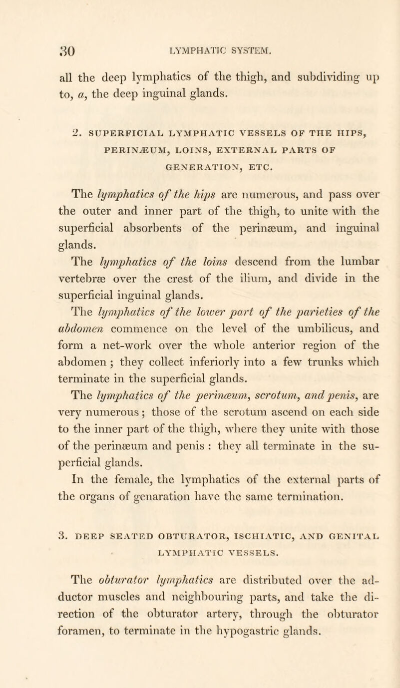 all the deep lymphatics of the thigh, and subdividing up to, a, the deep inguinal glands. 2. SUPERFICIAL LYMPHATIC VESSELS OF THE HIPS, PERINjEUM, LOIN'S, EXTERNAL PARTS OF GENERATION, ETC. The lymphatics of the hips are numerous, and pass over the outer and inner part of the thigh, to unite with the superficial absorbents of the perinseum, and inguinal glands. The lymphatics of the loins descend from the lumbar vertebrae over the crest of the ilium, and divide in the superficial inguinal glands. The lymphatics of the lower part of the pcirieties of the abdomen commence on the level of the umbilicus, and form a net-work over the whole anterior region of the abdomen; they collect inferiorly into a few trunks which terminate in the superficial glands. The lymphatics of the perinceum, scrotum, and penis, are very numerous; those of the scrotum ascend on each side to the inner part of the thigh, where they unite with those of the perinseum and penis : they all terminate in the su¬ perficial glands. In the female, the lymphatics of the external parts of the organs of genaration have the same termination. 3. DEEP SEATED OBTURATOR, ISCHIATIC, AND GENITAL LYMPHATIC VESSELS. The obturator lymphatics are distributed over the ad¬ ductor muscles and neighbouring parts, and take the di¬ rection of the obturator artery, through the obturator foramen, to terminate in the hypogastric glands.